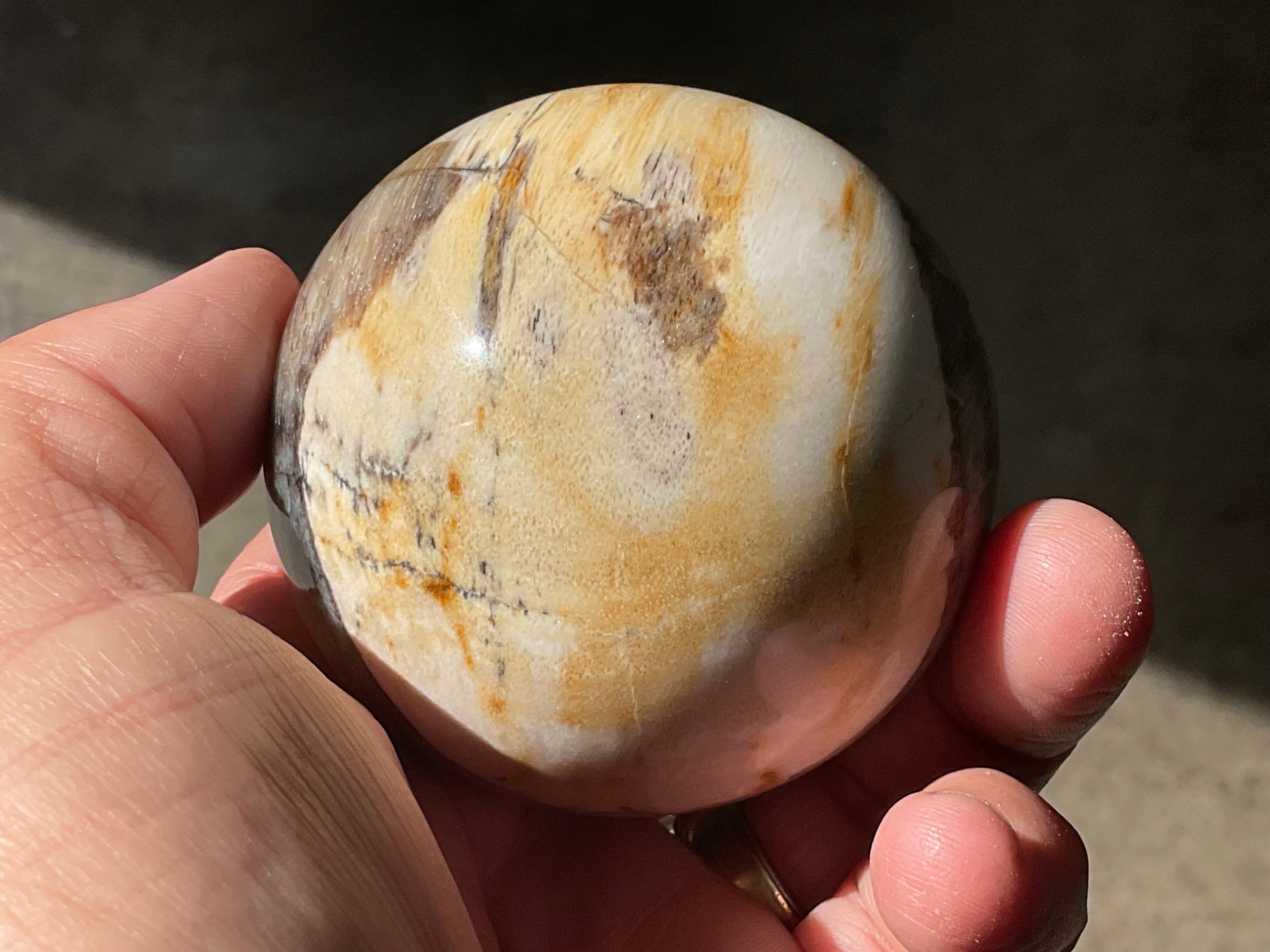 288g (6.5cm diameter) Opalised/Agatised Wood Sphere 2A from Springsure