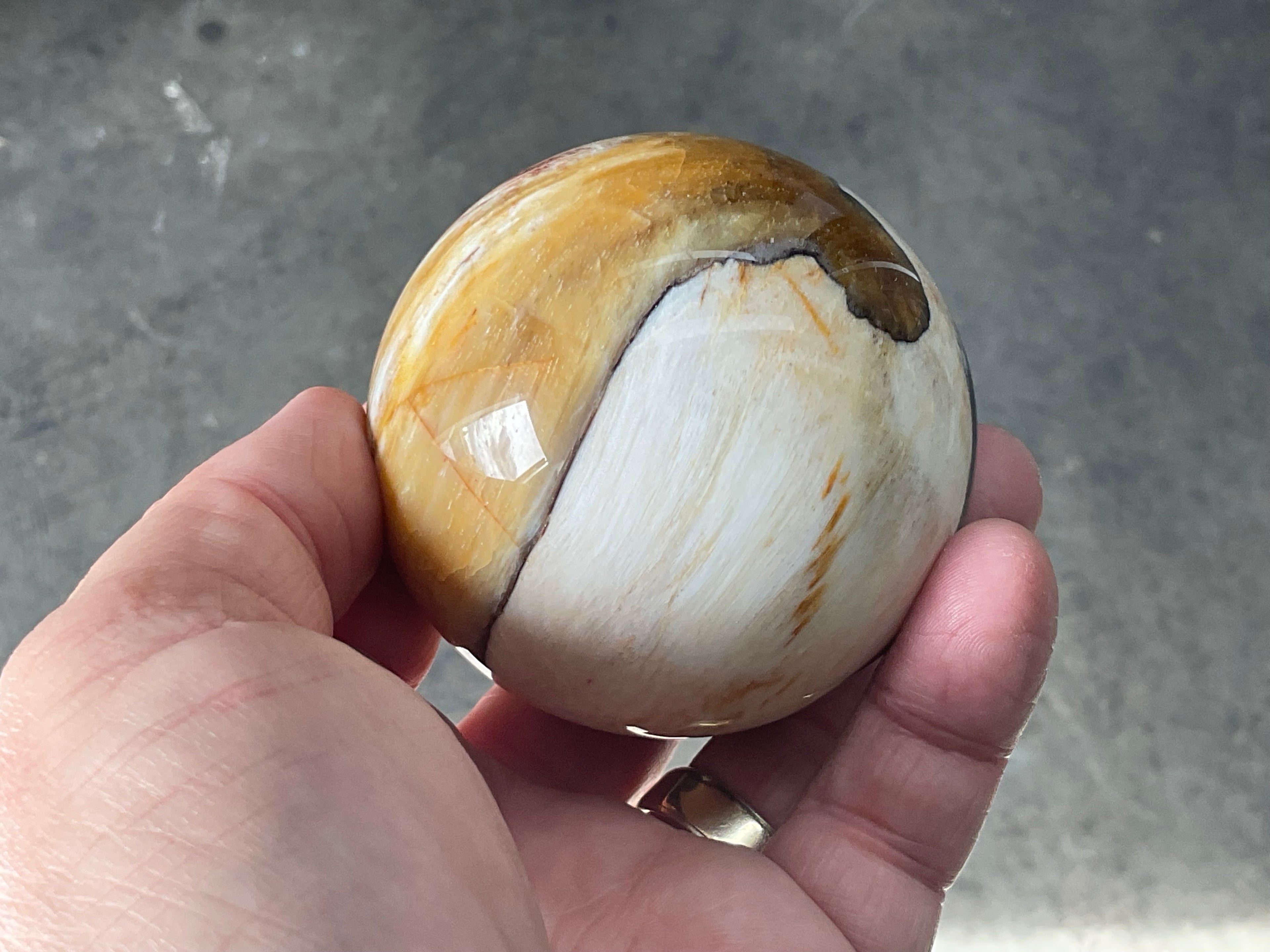 308g (6.5cm diameter) Opalised/Agatised Wood Sphere 2B from Springsure