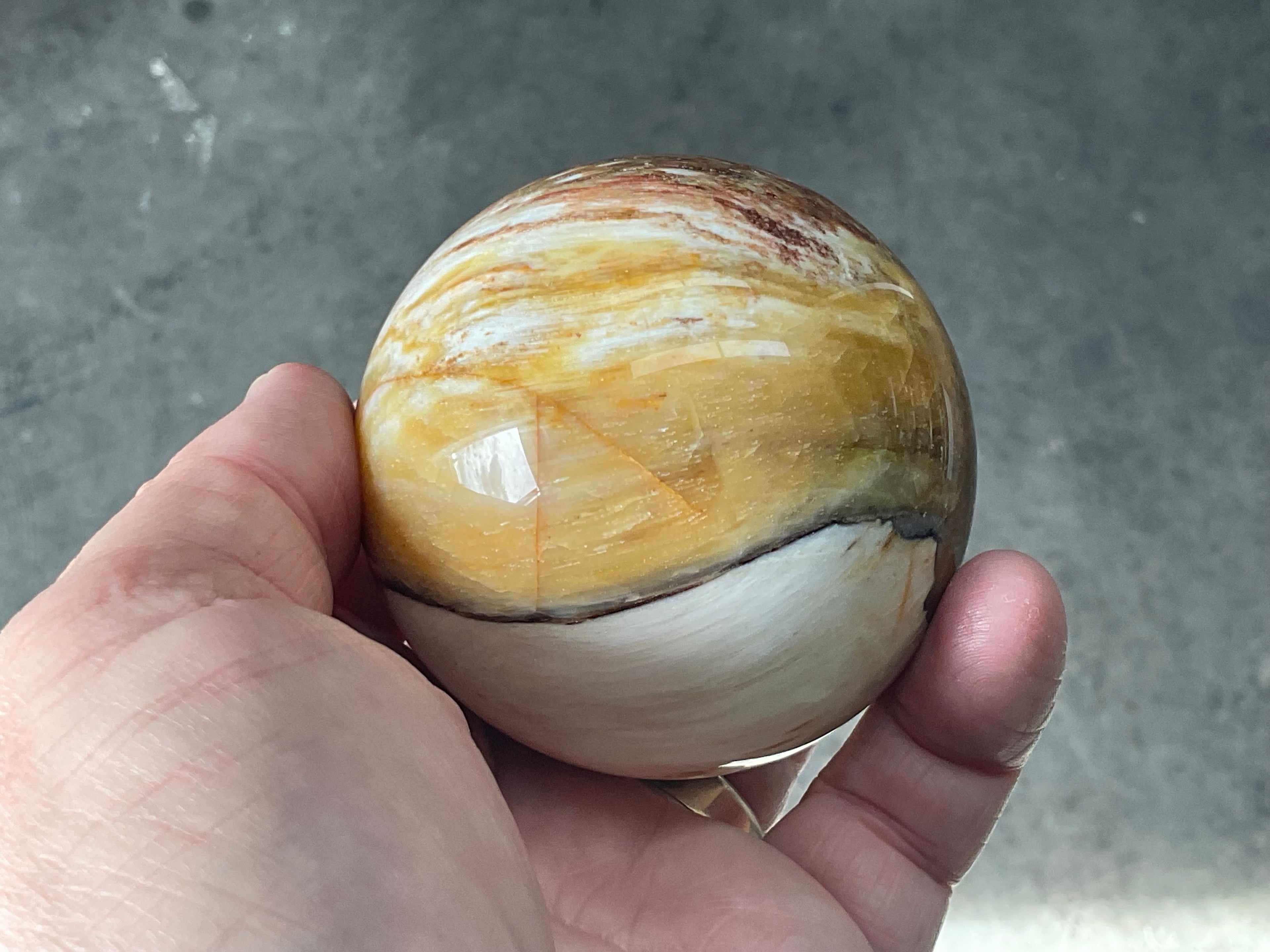 308g (6.5cm diameter) Opalised/Agatised Wood Sphere 2B from Springsure