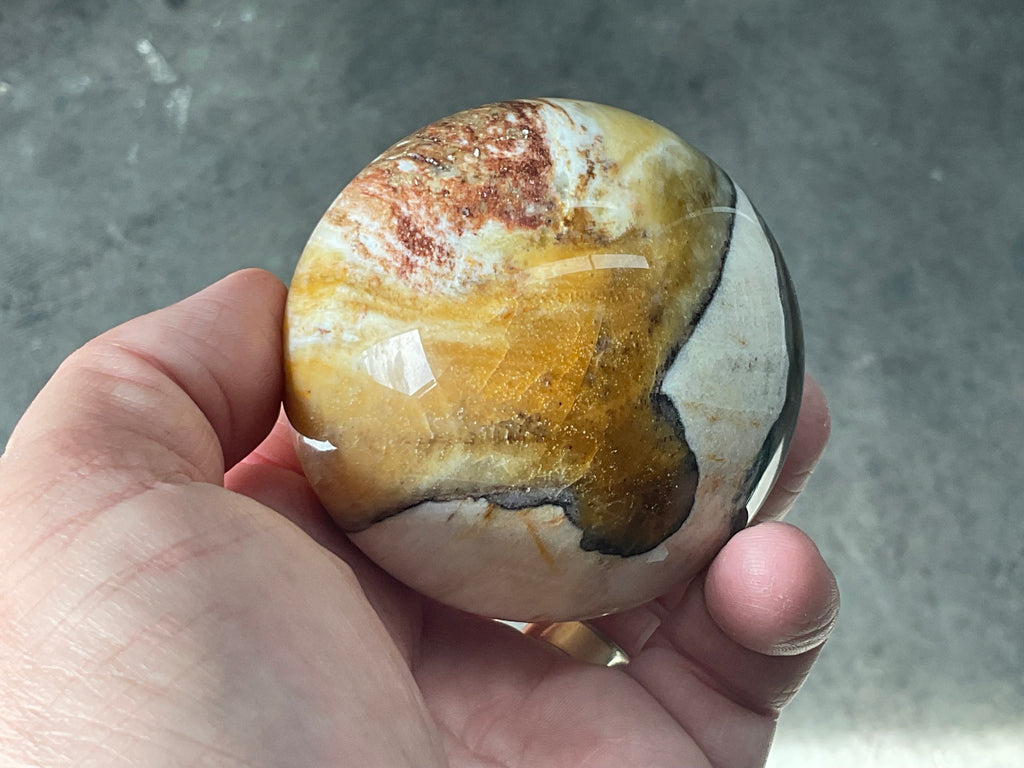 308g (6.5cm diameter) Opalised/Agatised Wood Sphere 2B from Springsure