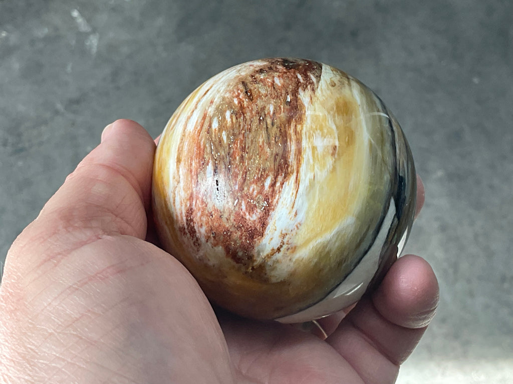 308g (6.5cm diameter) Opalised/Agatised Wood Sphere 2B from Springsure