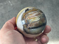 308g (6.5cm diameter) Opalised/Agatised Wood Sphere 2B from Springsure