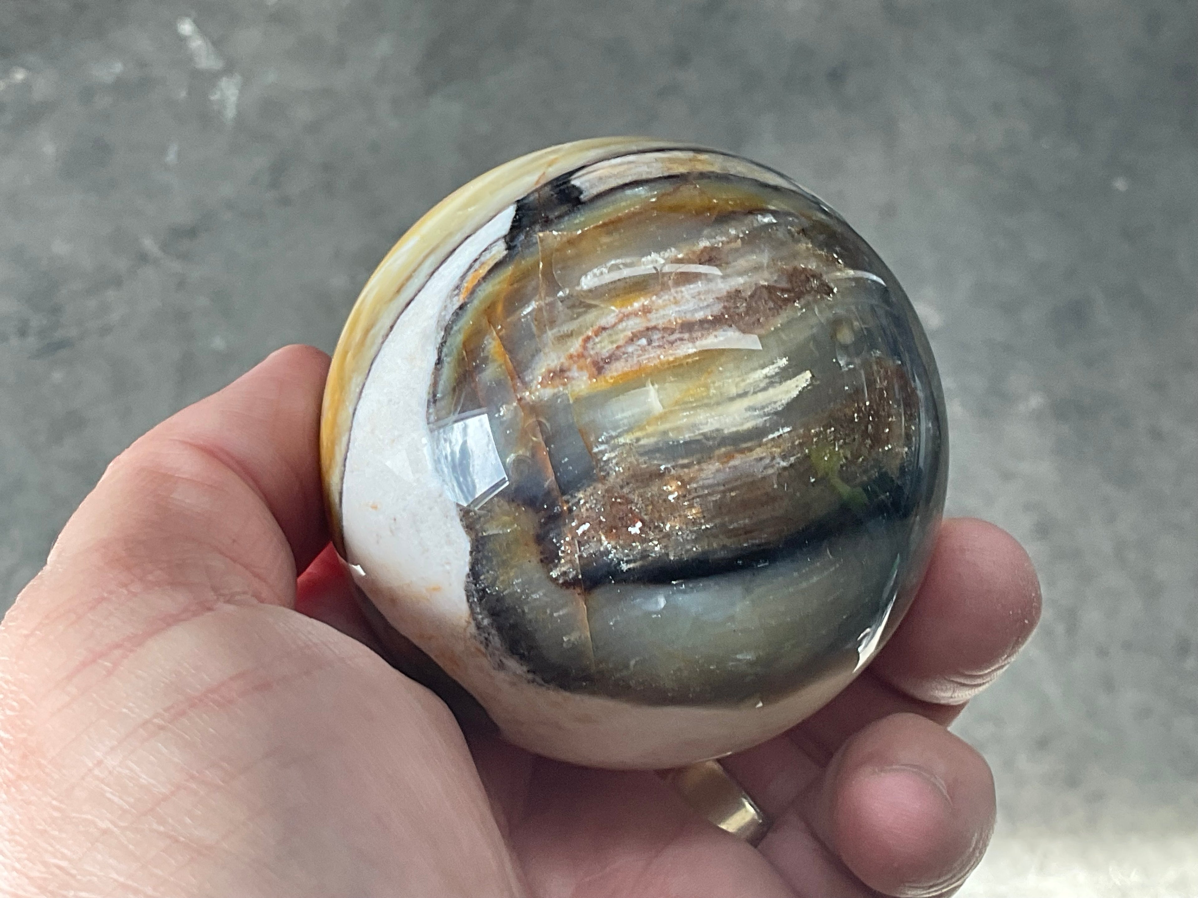 308g (6.5cm diameter) Opalised/Agatised Wood Sphere 2B from Springsure