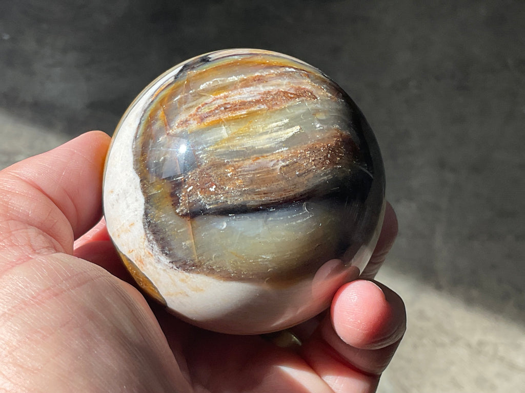 308g (6.5cm diameter) Opalised/Agatised Wood Sphere 2B from Springsure