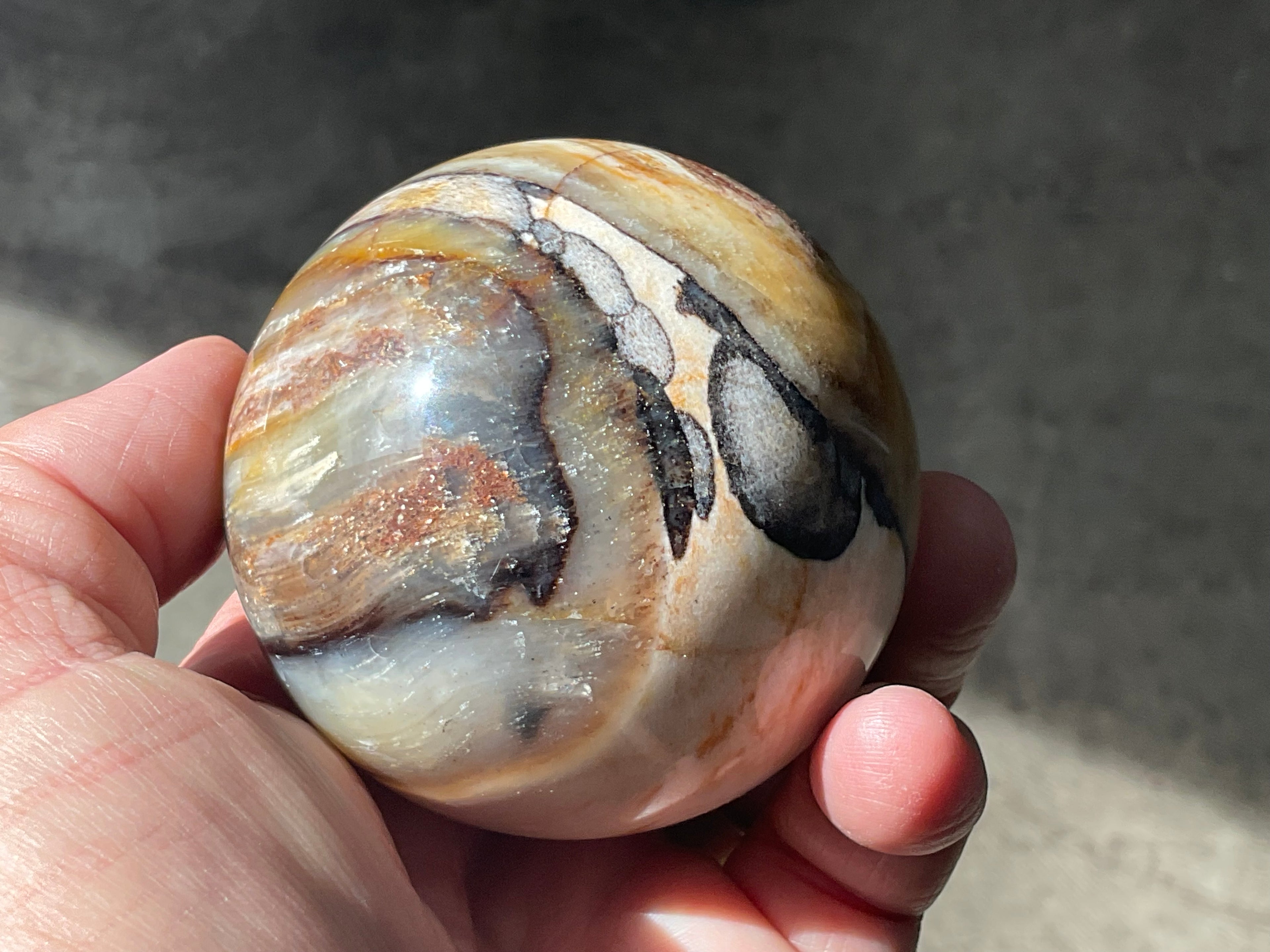 308g (6.5cm diameter) Opalised/Agatised Wood Sphere 2B from Springsure