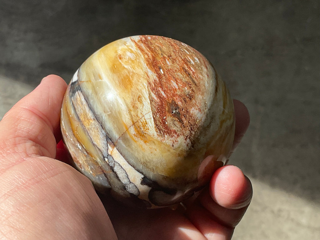 308g (6.5cm diameter) Opalised/Agatised Wood Sphere 2B from Springsure