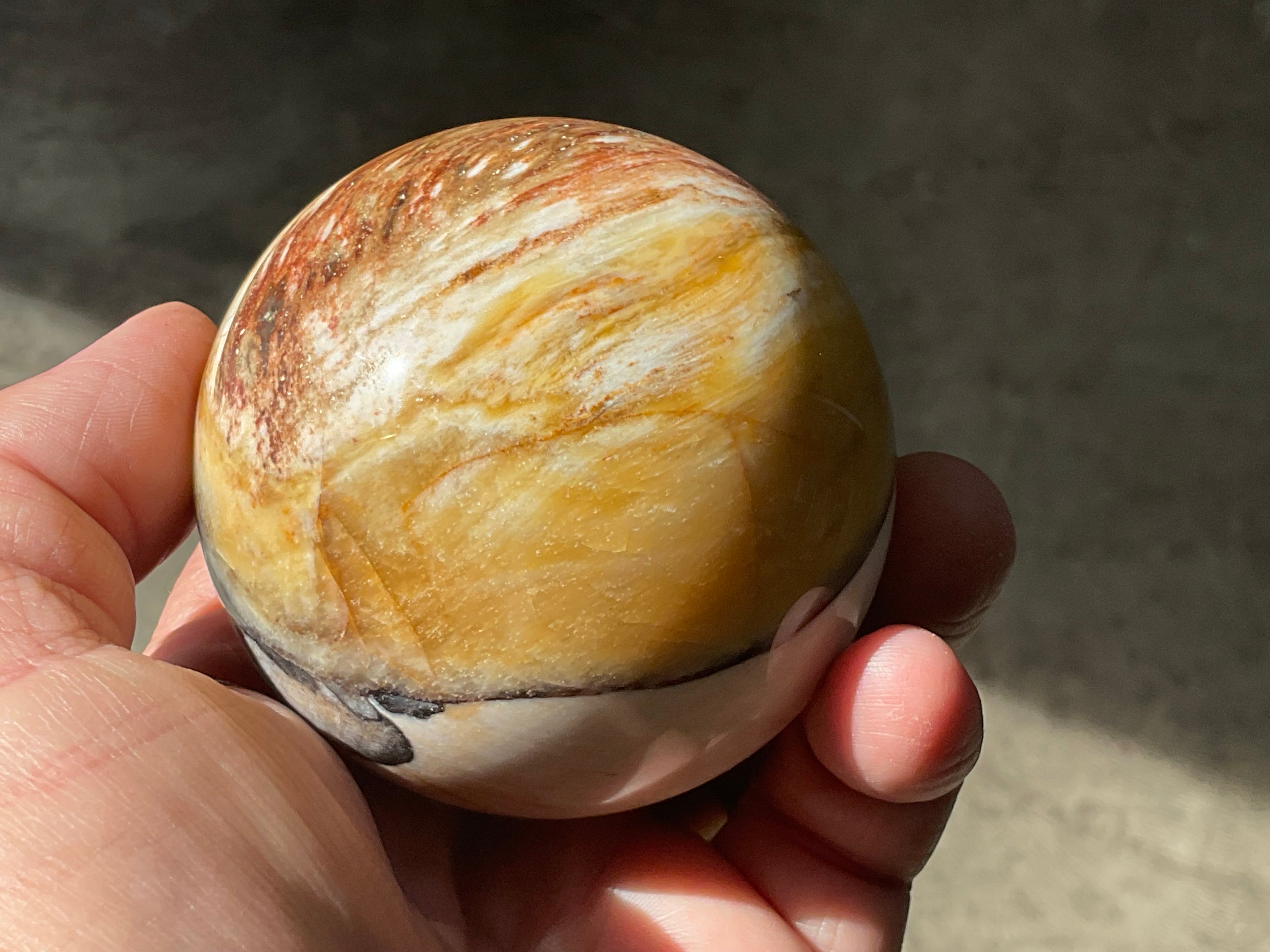 308g (6.5cm diameter) Opalised/Agatised Wood Sphere 2B from Springsure