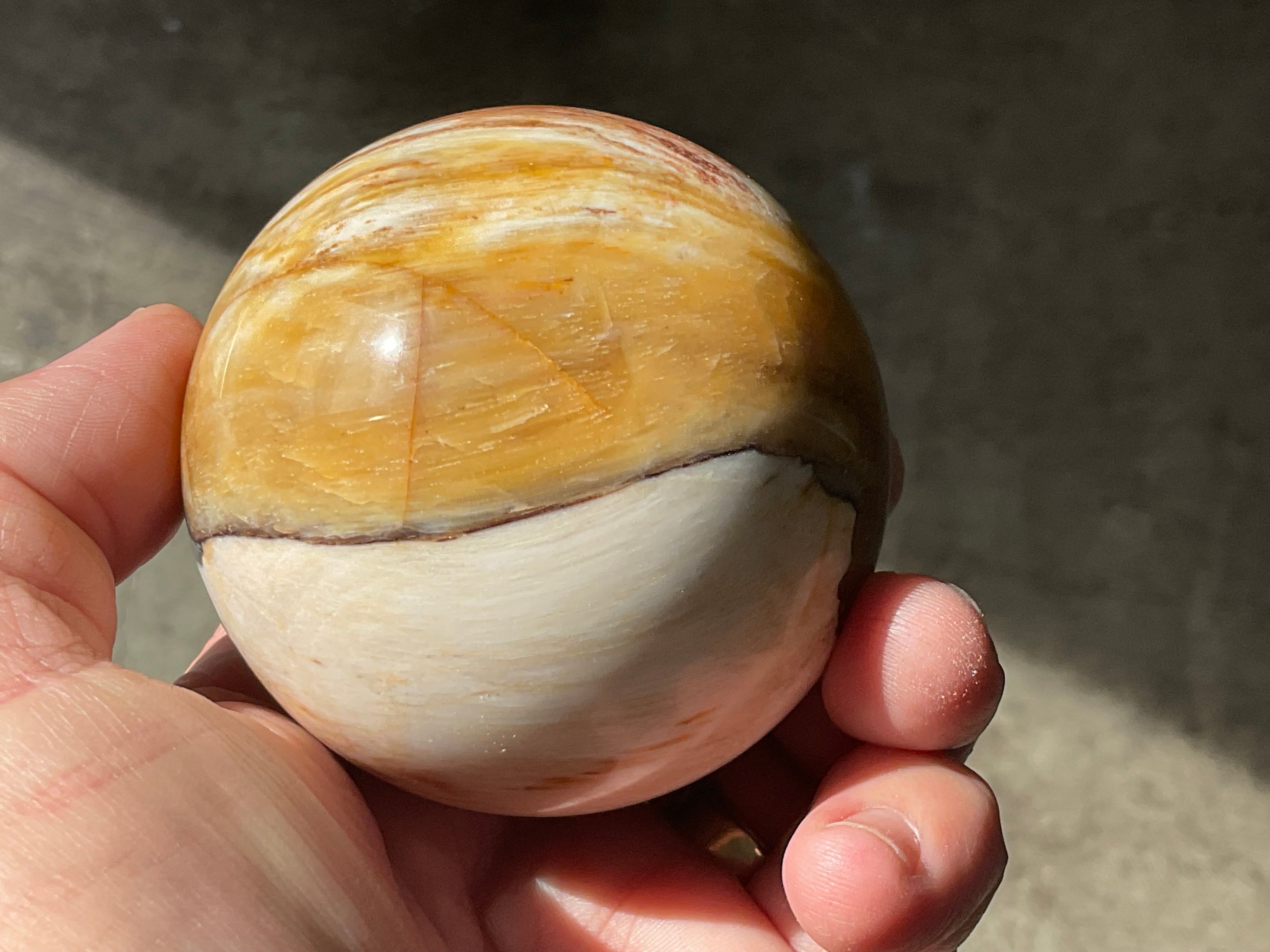 308g (6.5cm diameter) Opalised/Agatised Wood Sphere 2B from Springsure