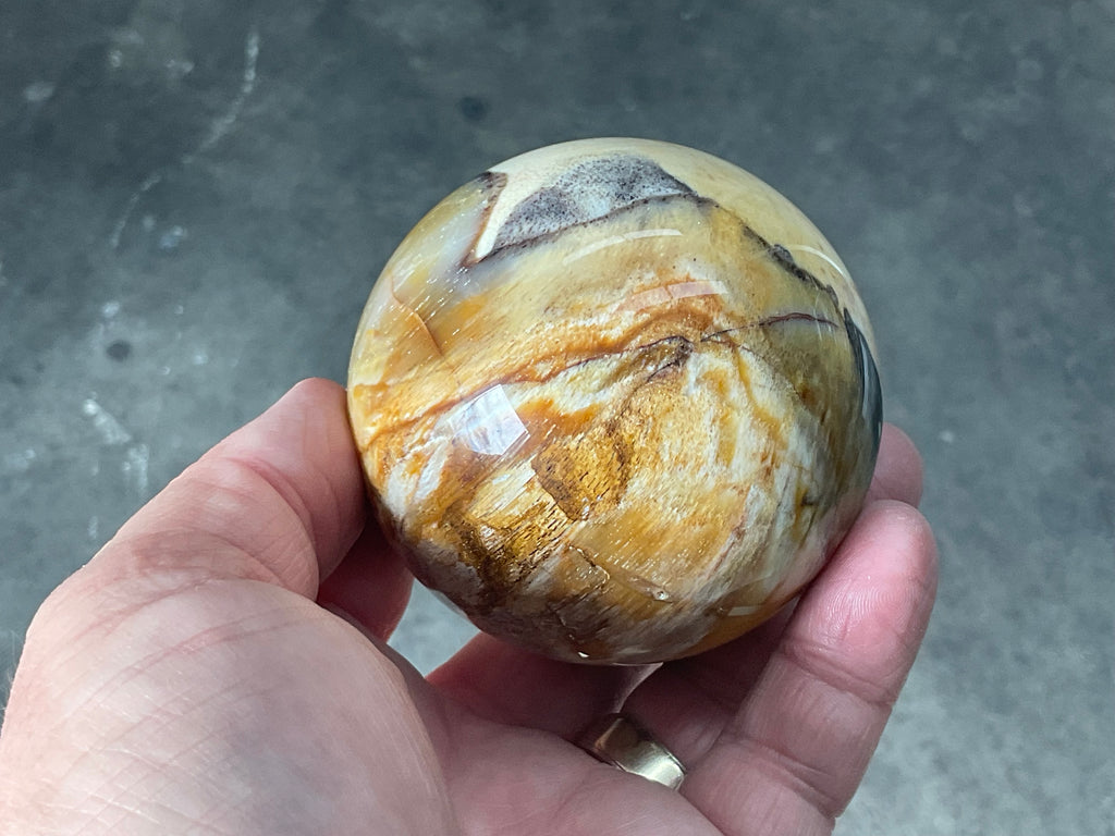 346g (7cm diameter) Opalised/Agatised Wood Sphere 2C from Springsure