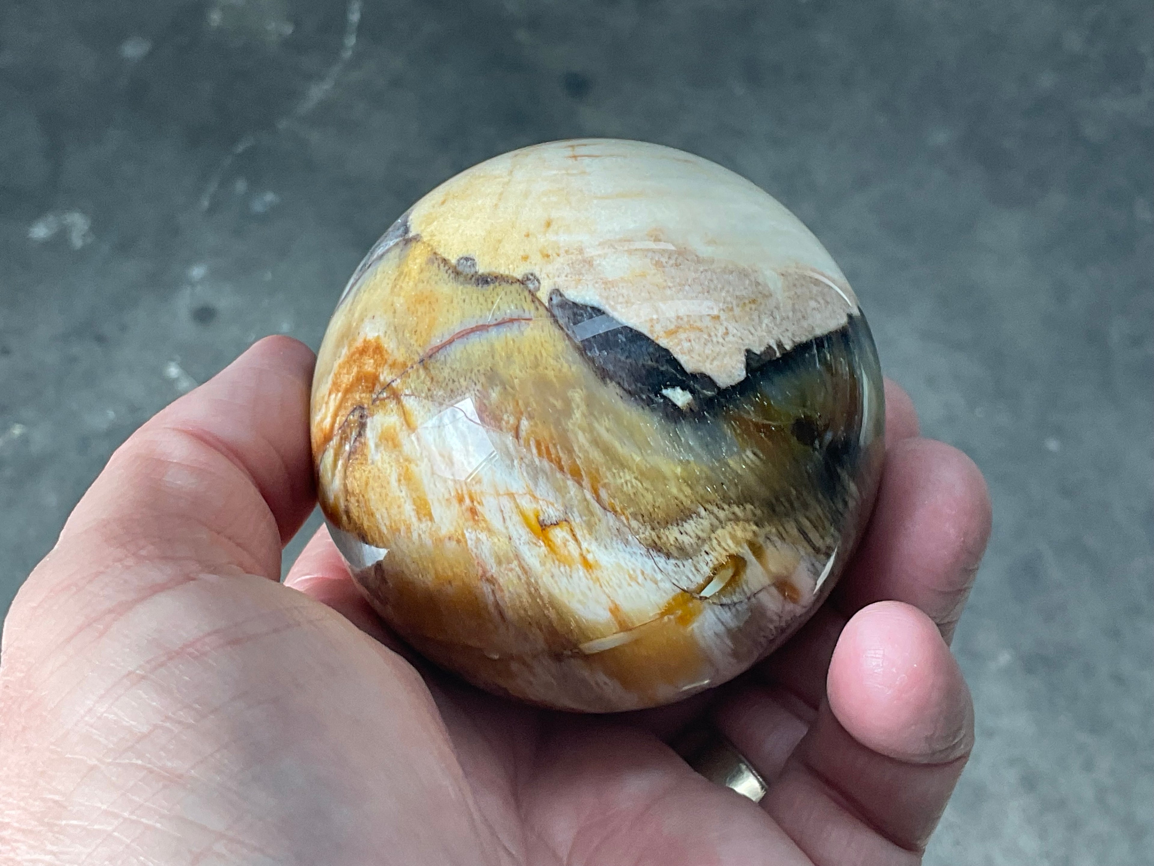 346g (7cm diameter) Opalised/Agatised Wood Sphere 2C from Springsure