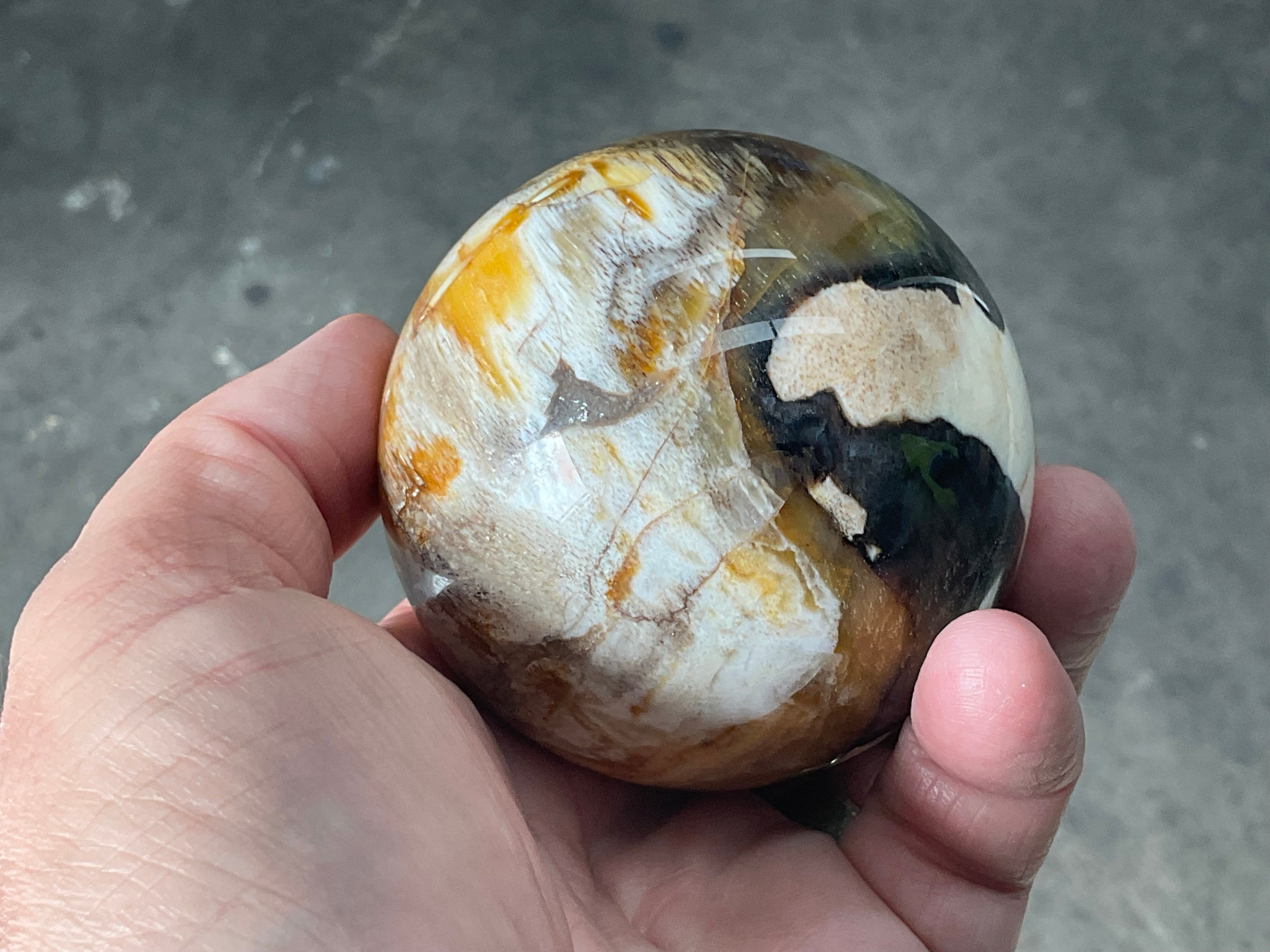 346g (7cm diameter) Opalised/Agatised Wood Sphere 2C from Springsure