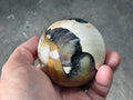 346g (7cm diameter) Opalised/Agatised Wood Sphere 2C from Springsure