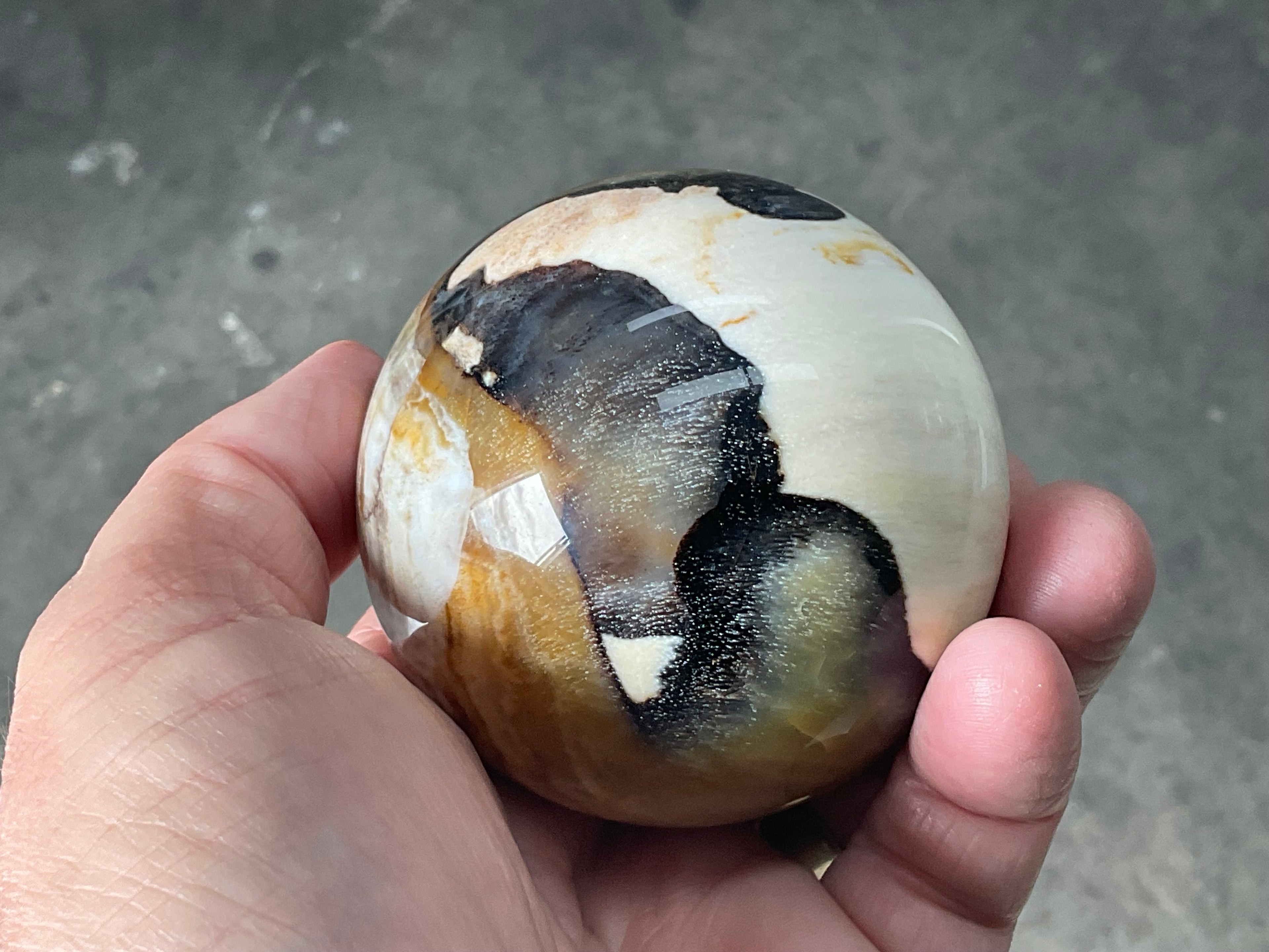 346g (7cm diameter) Opalised/Agatised Wood Sphere 2C from Springsure