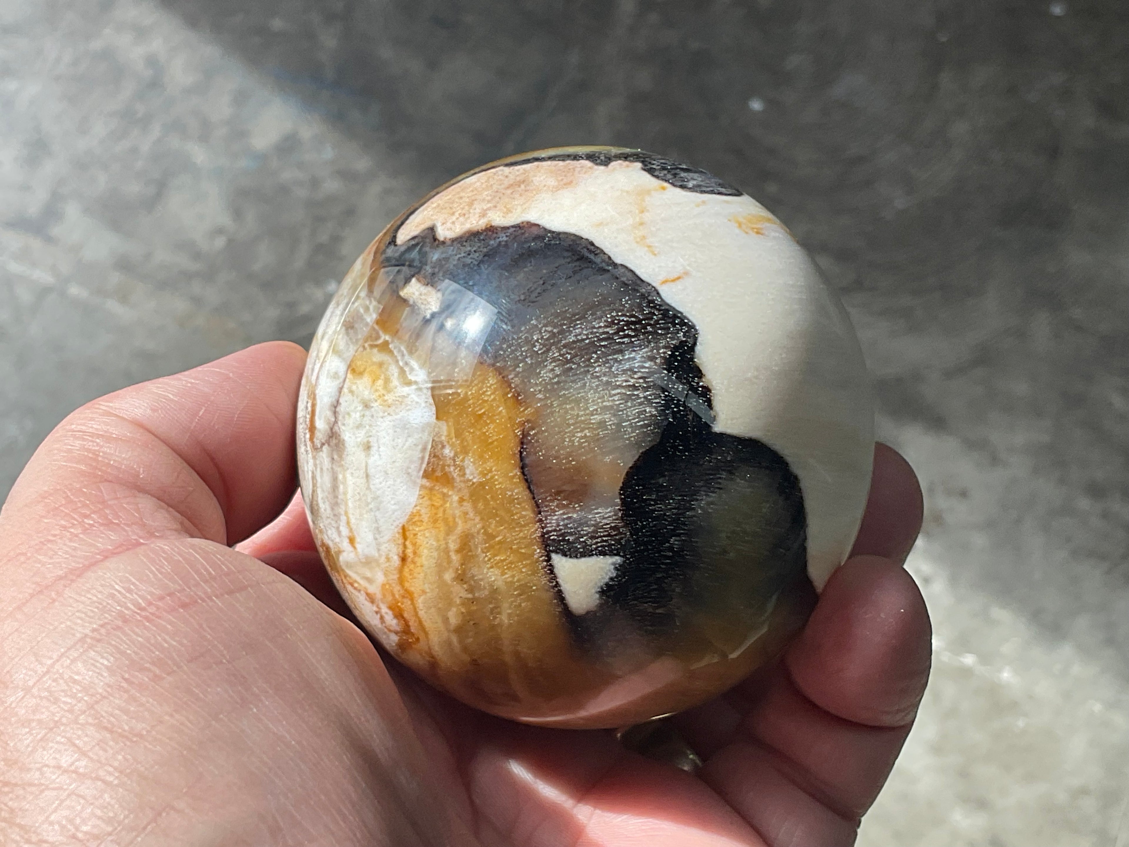 346g (7cm diameter) Opalised/Agatised Wood Sphere 2C from Springsure