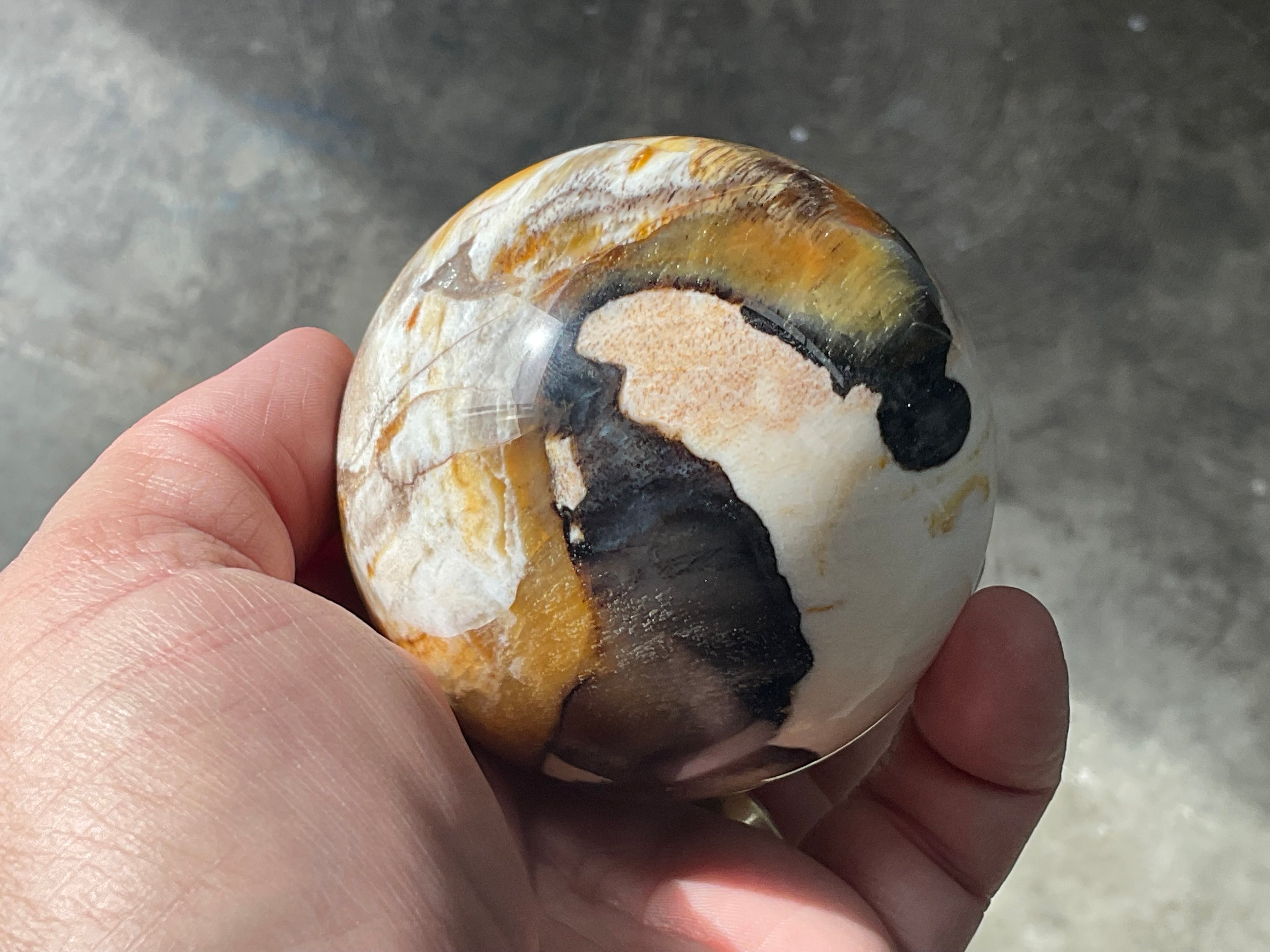 346g (7cm diameter) Opalised/Agatised Wood Sphere 2C from Springsure