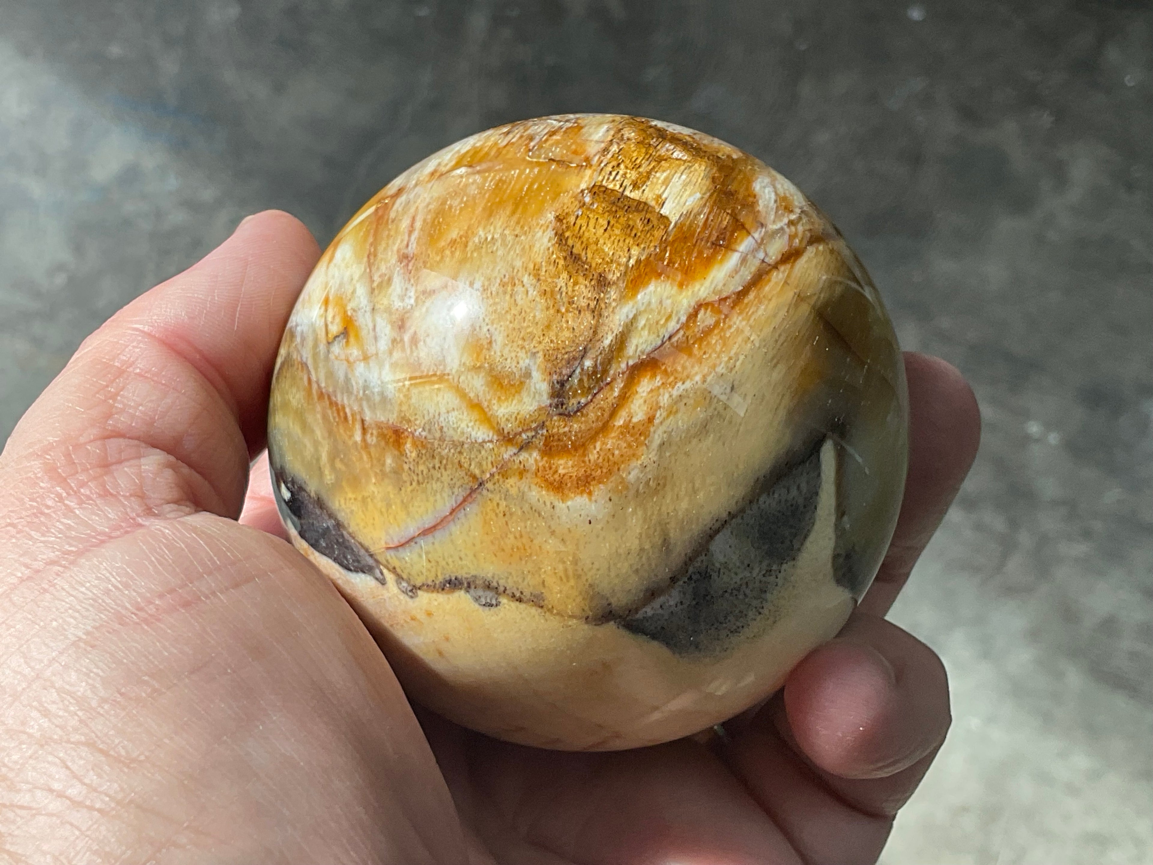 346g (7cm diameter) Opalised/Agatised Wood Sphere 2C from Springsure