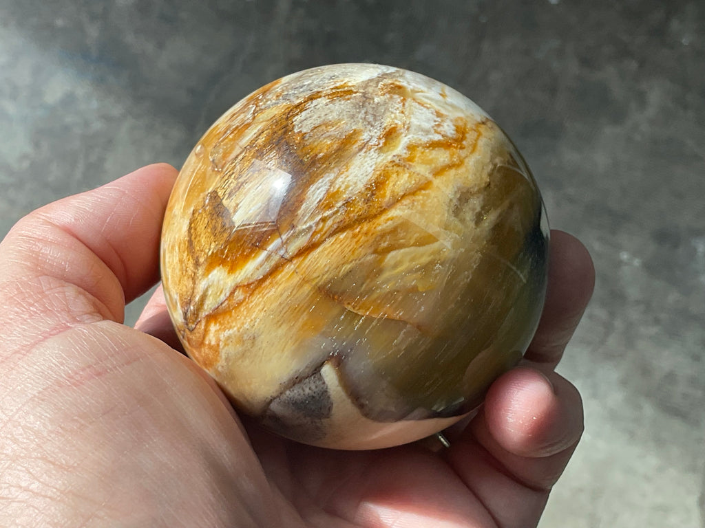 346g (7cm diameter) Opalised/Agatised Wood Sphere 2C from Springsure