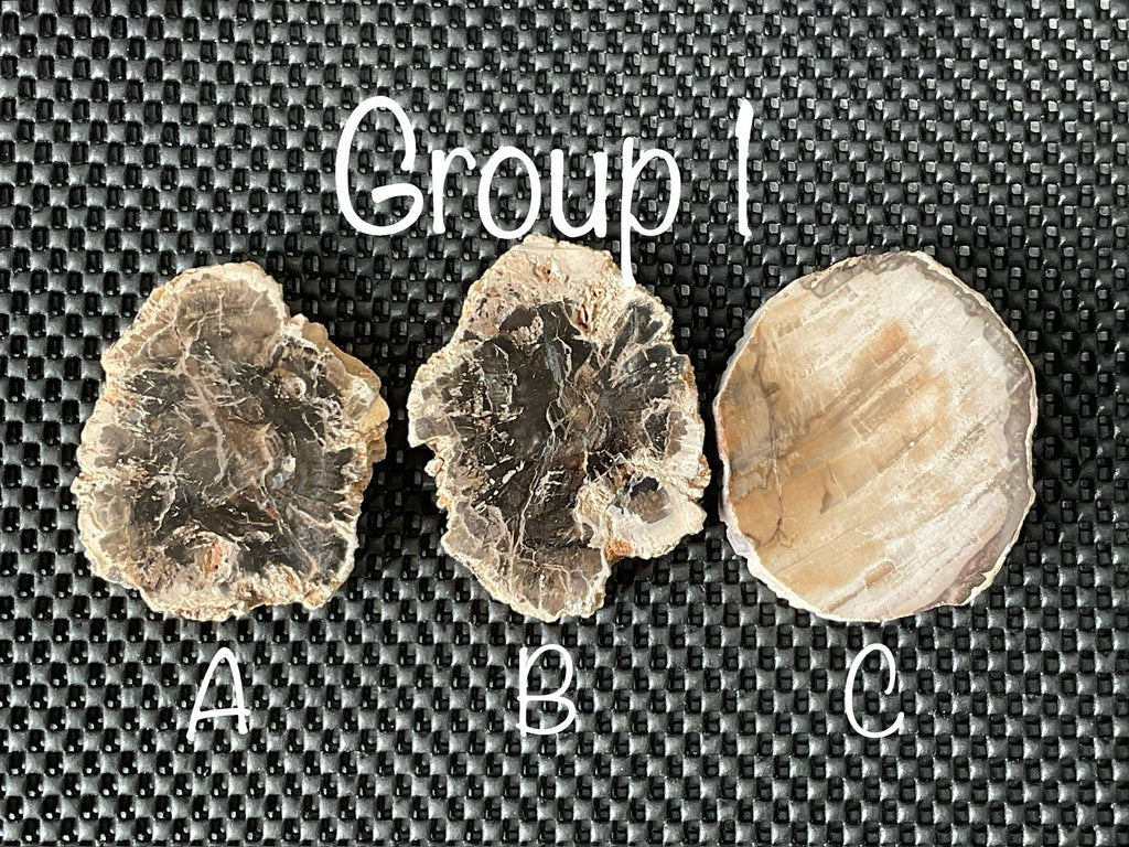 124g Indonesian Petrified Wood Polished Slab 1A