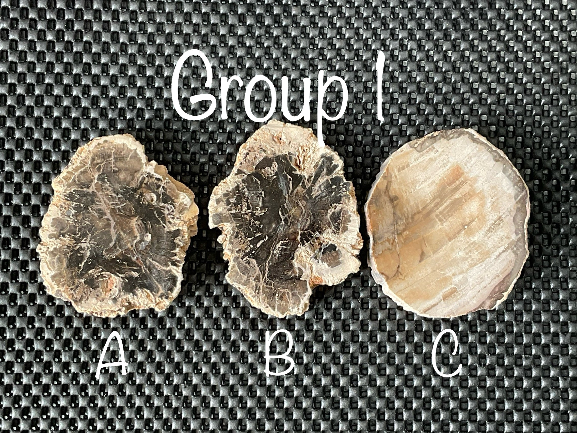 124g Indonesian Petrified Wood Polished Slab 1A