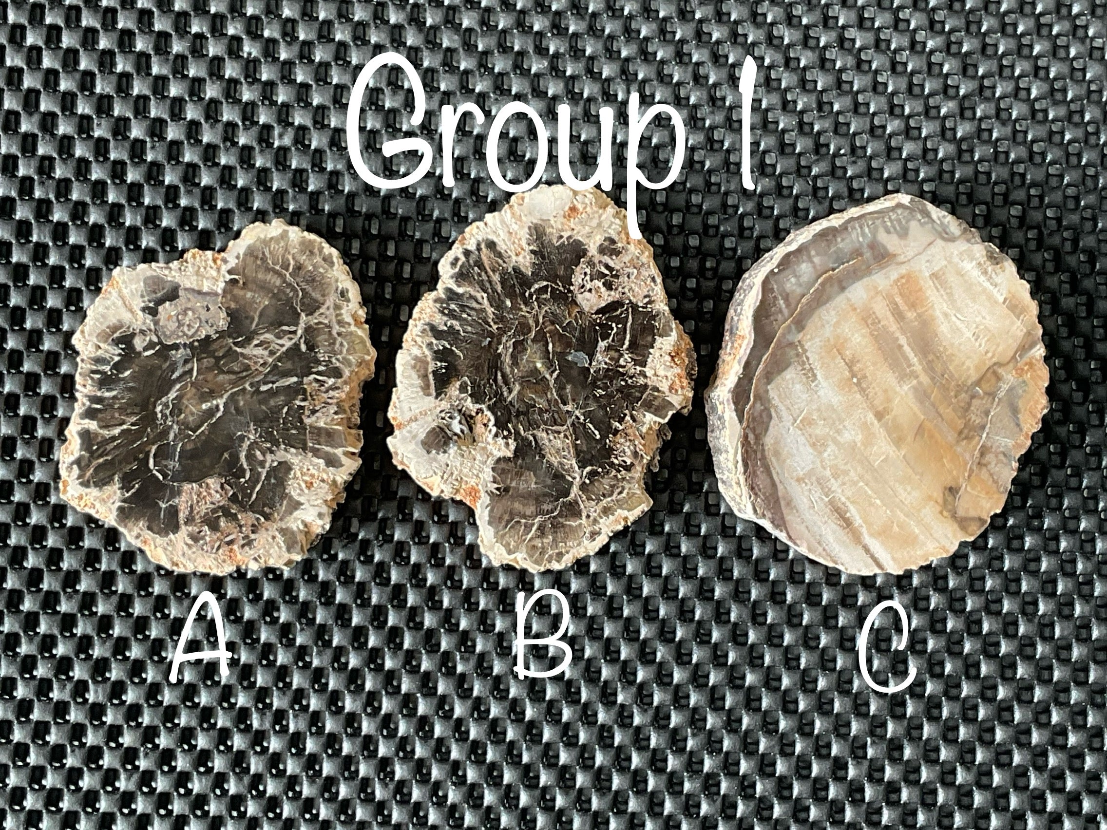 124g Indonesian Petrified Wood Polished Slab 1A