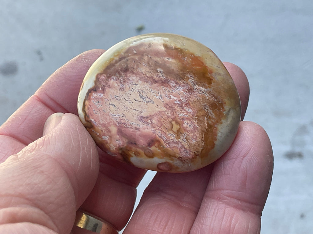49g Polychrome Jasper Palmstone 1A