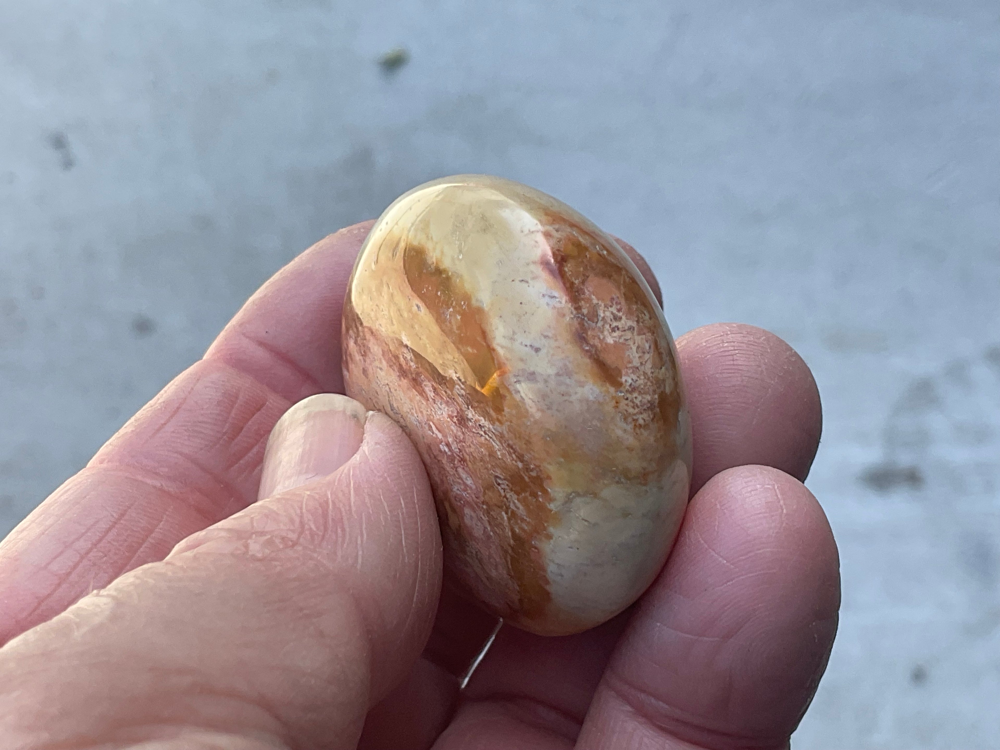 49g Polychrome Jasper Palmstone 1A