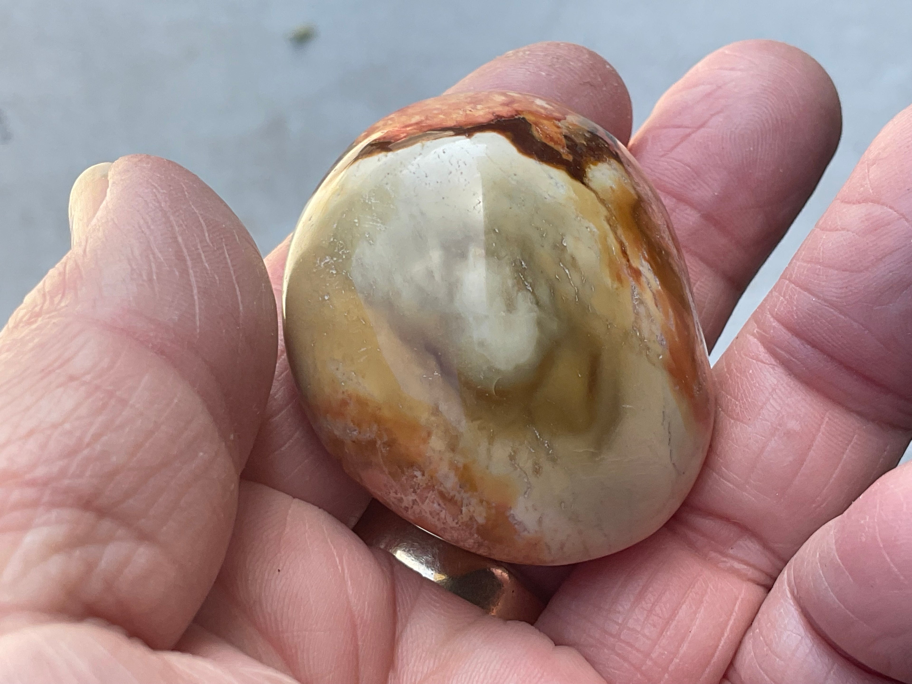 49g Polychrome Jasper Palmstone 1A