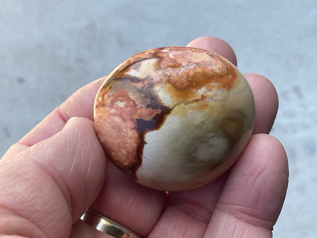 49g Polychrome Jasper Palmstone 1A
