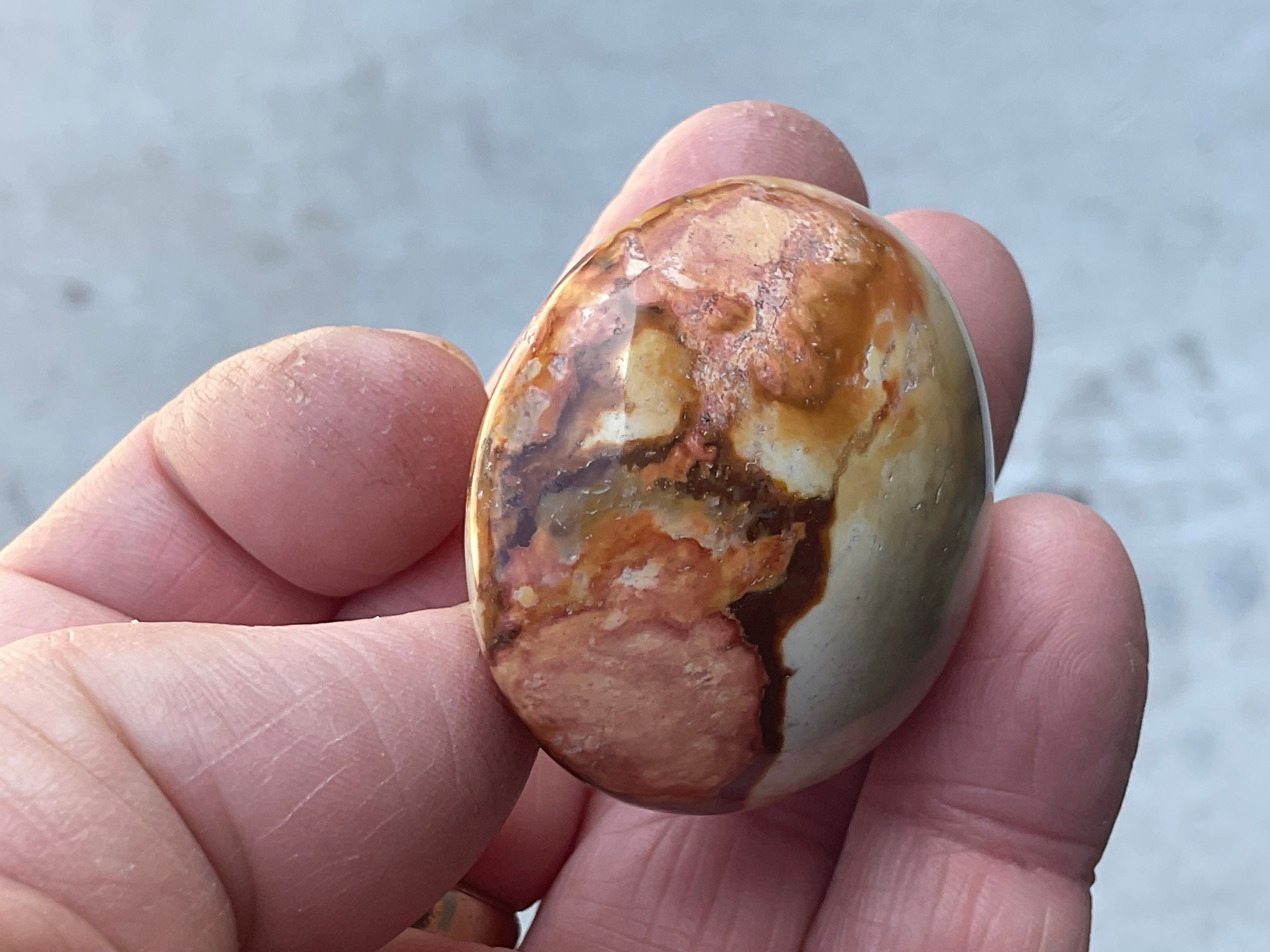 49g Polychrome Jasper Palmstone 1A
