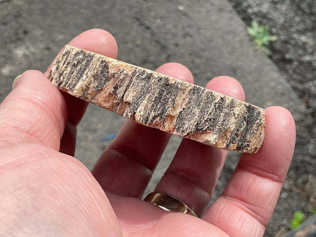 124g Indonesian Petrified Wood Polished Slab 1A