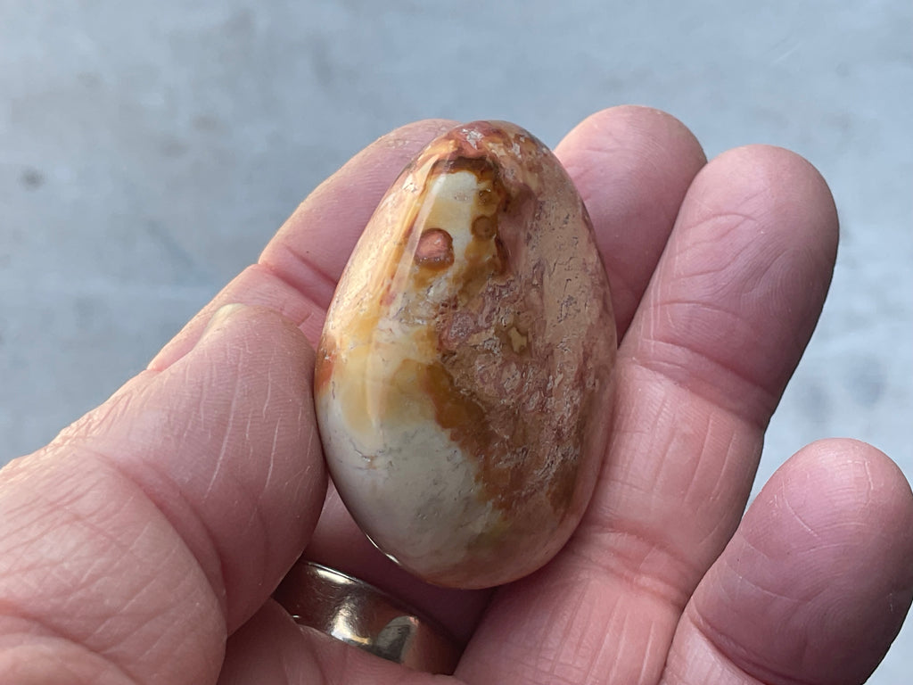 49g Polychrome Jasper Palmstone 1A