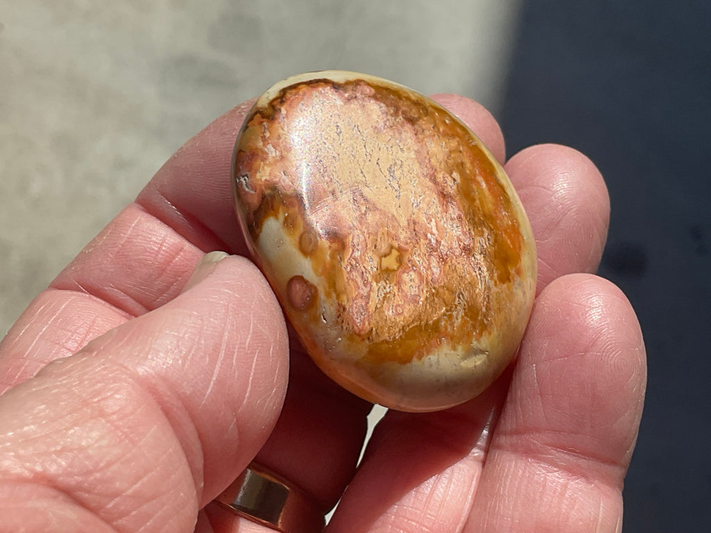 49g Polychrome Jasper Palmstone 1A