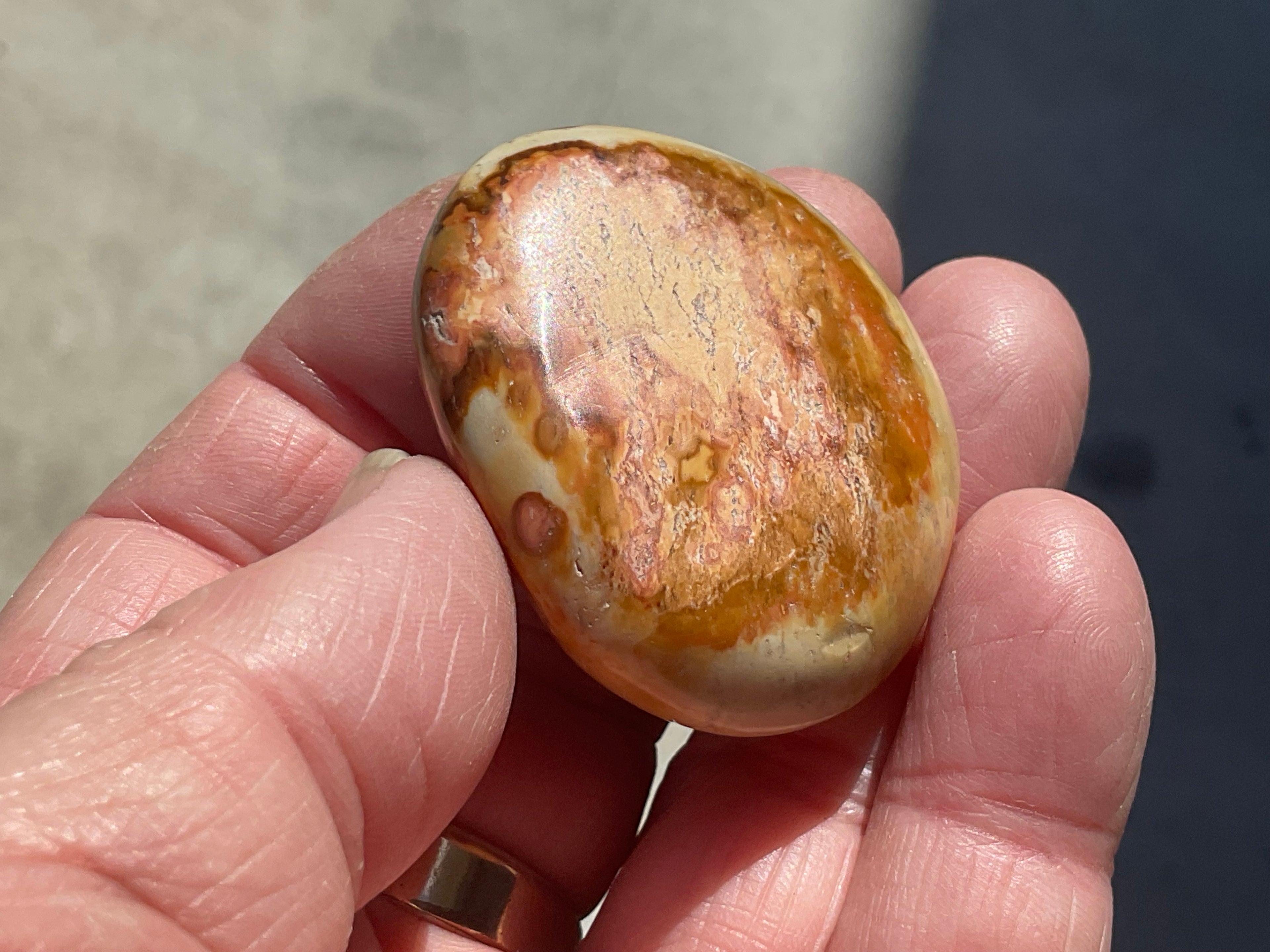 49g Polychrome Jasper Palmstone 1A