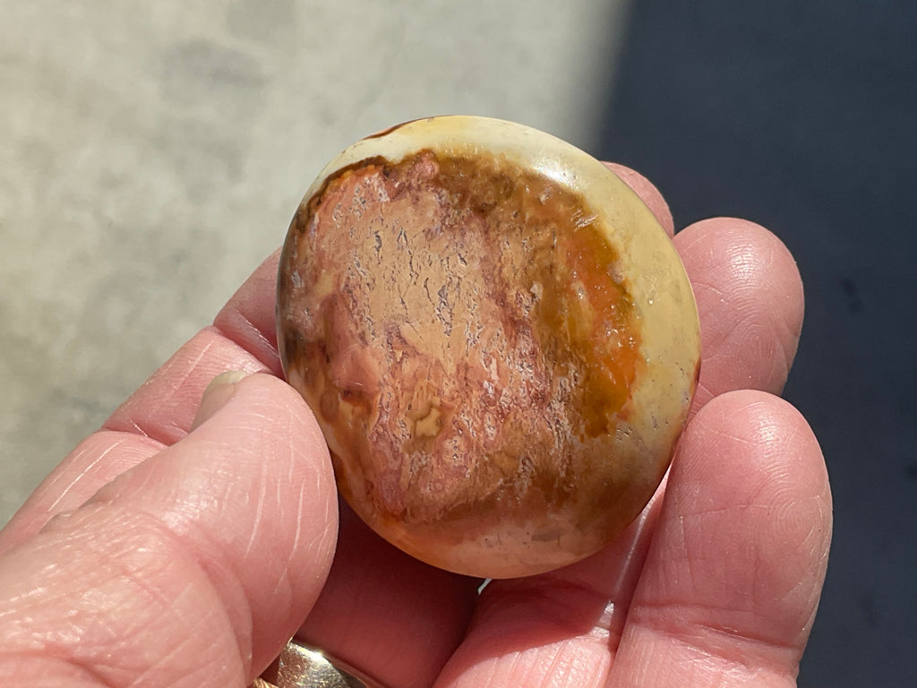 49g Polychrome Jasper Palmstone 1A