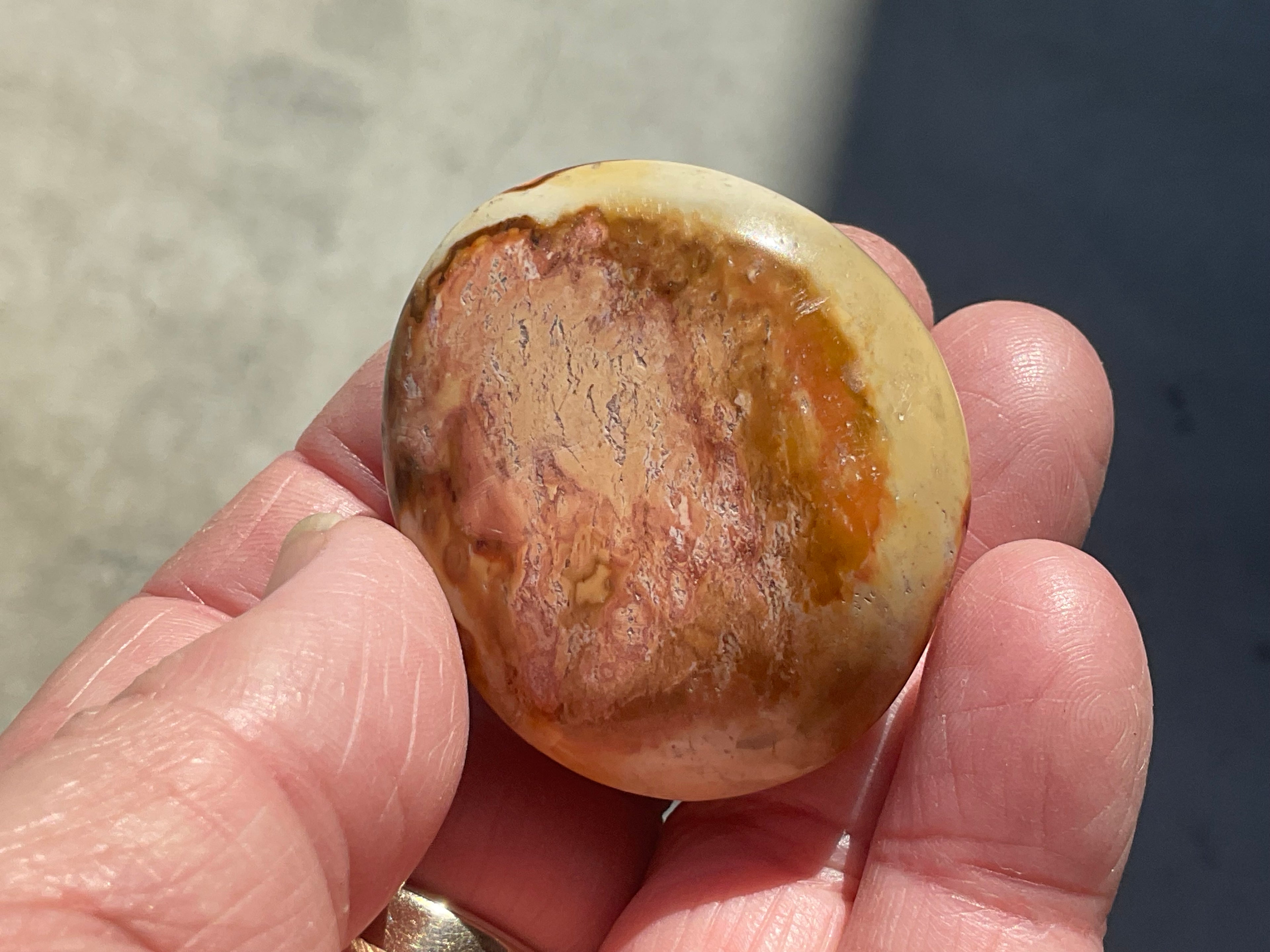 49g Polychrome Jasper Palmstone 1A