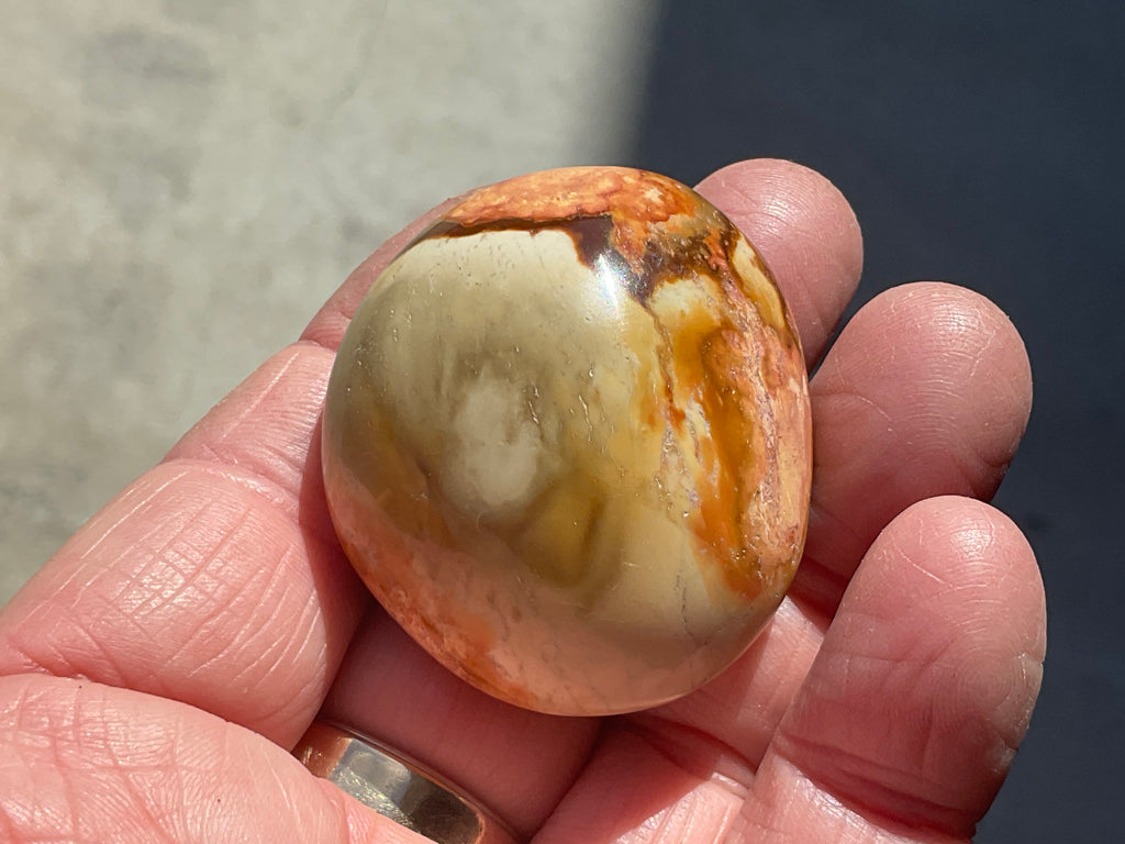 49g Polychrome Jasper Palmstone 1A