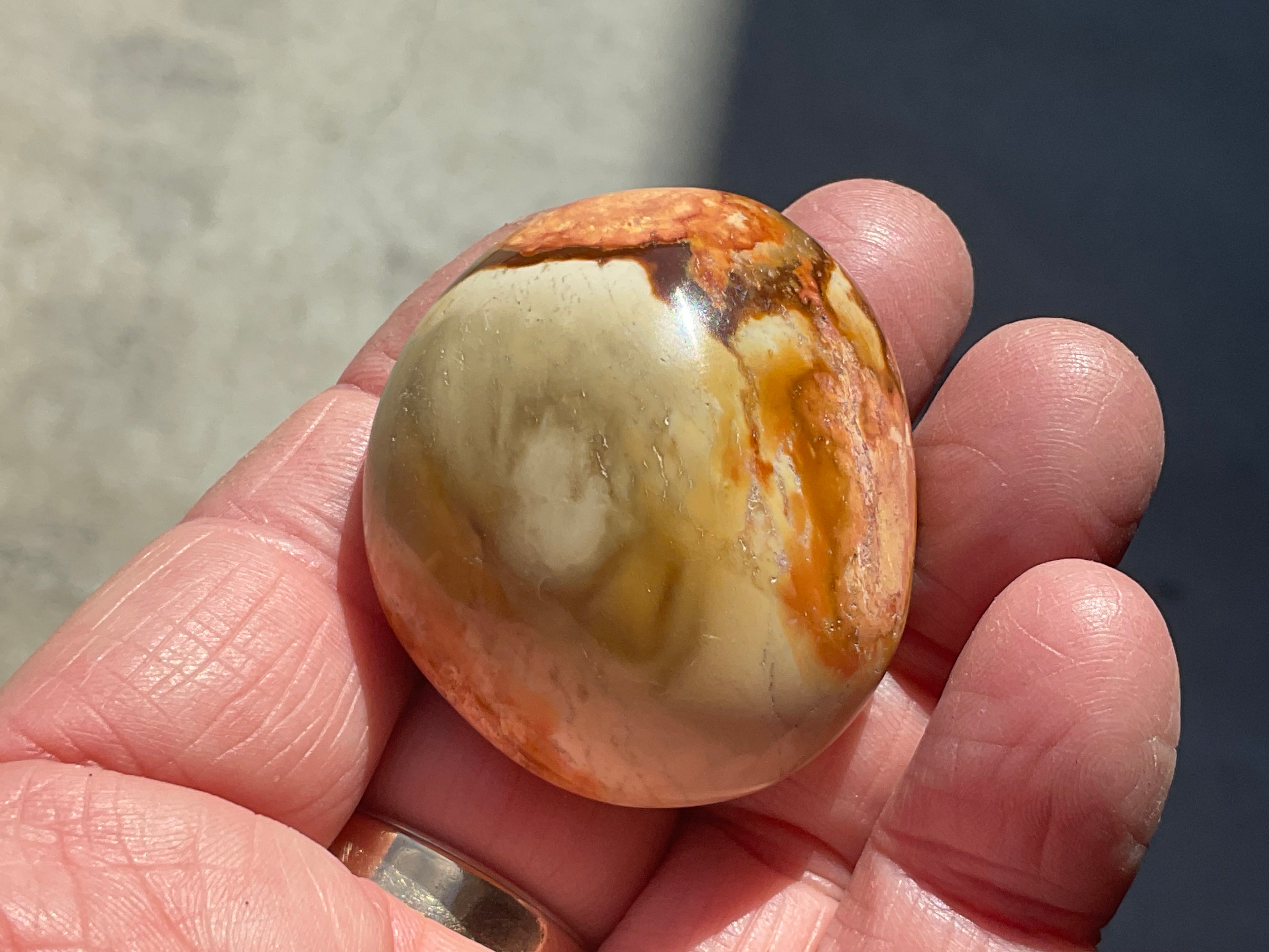 49g Polychrome Jasper Palmstone 1A