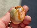 49g Polychrome Jasper Palmstone 1A