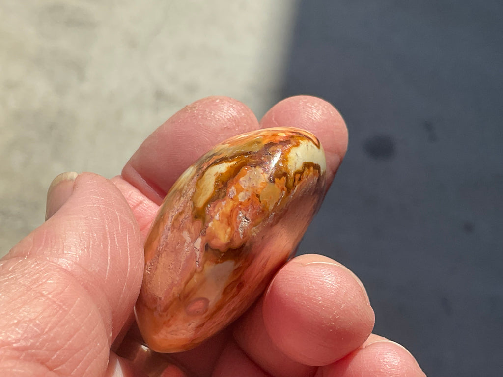 49g Polychrome Jasper Palmstone 1A