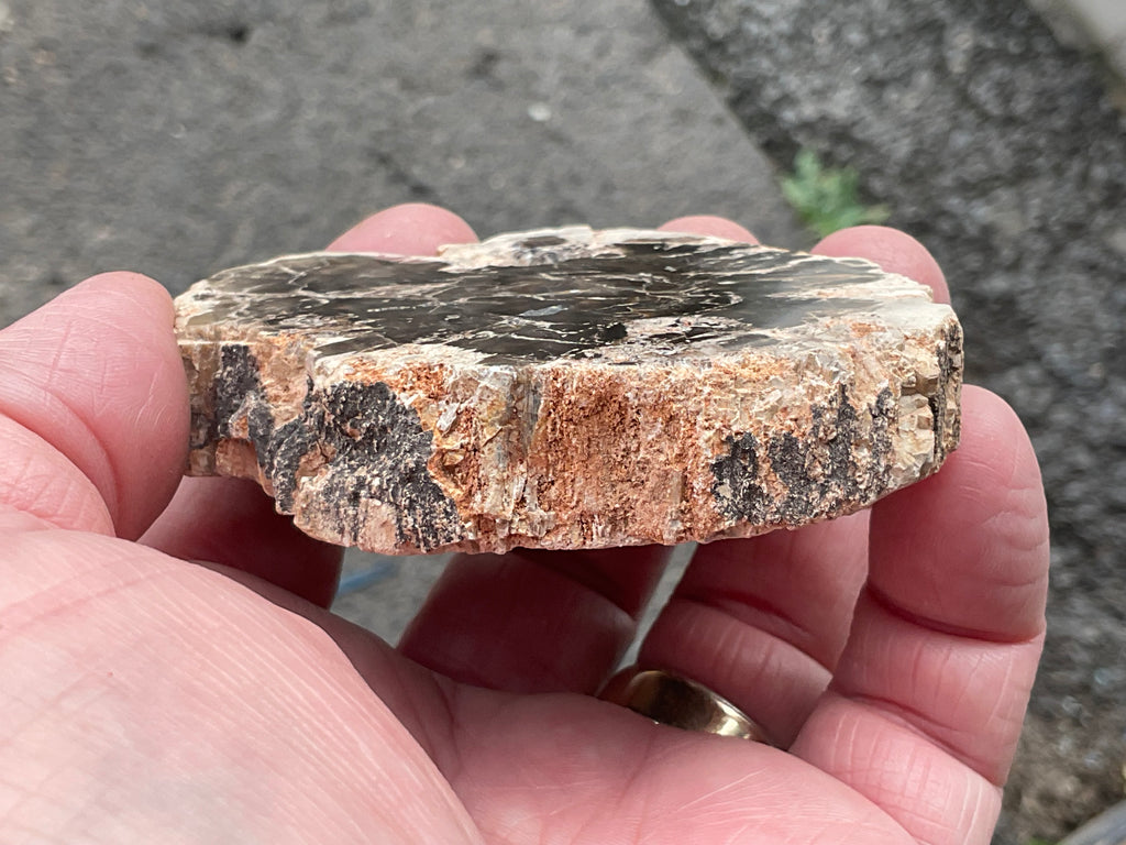 122g Indonesian Petrified Wood Polished Slab 1B