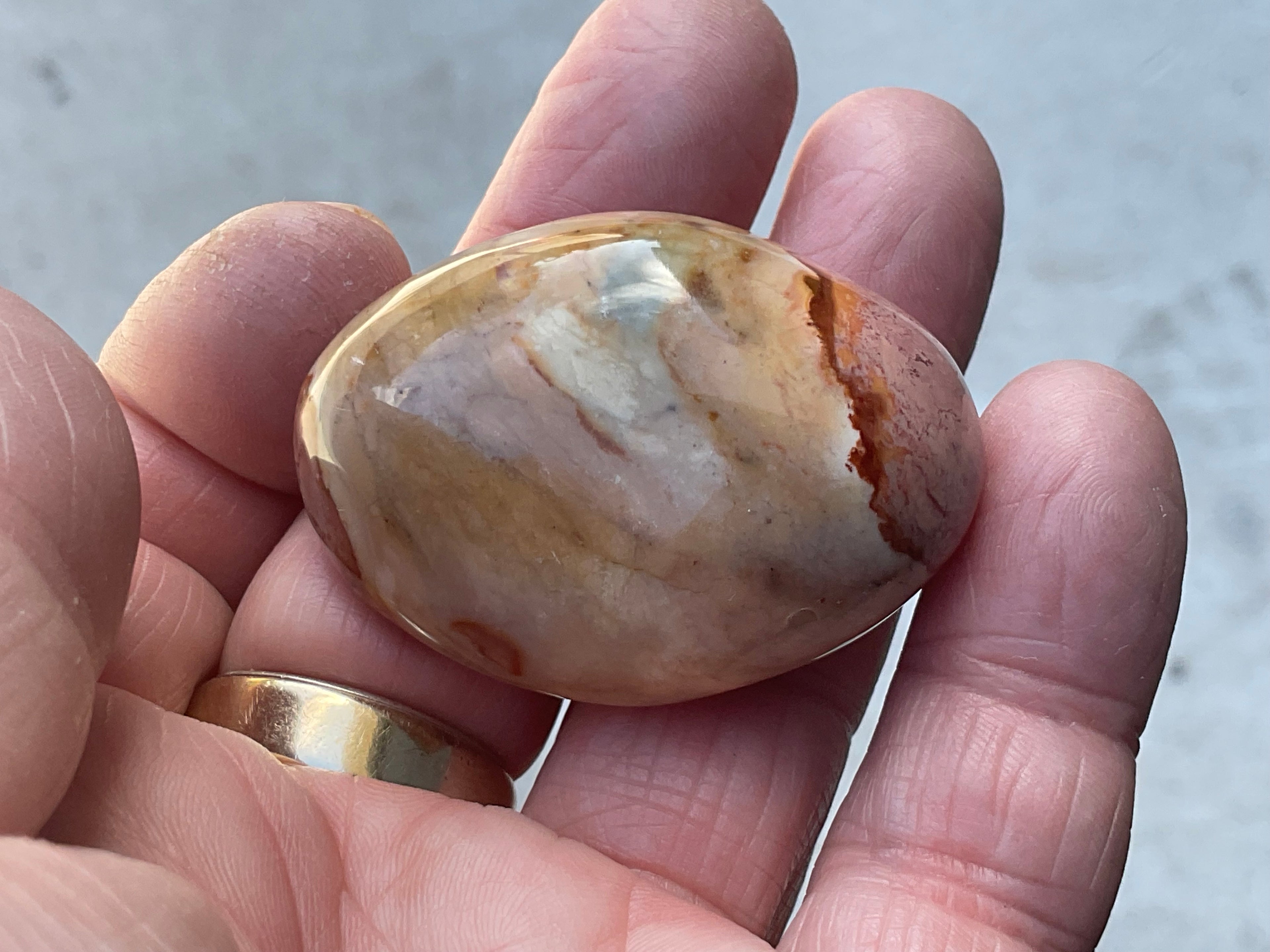47g Polychrome Jasper Palmstone 2C