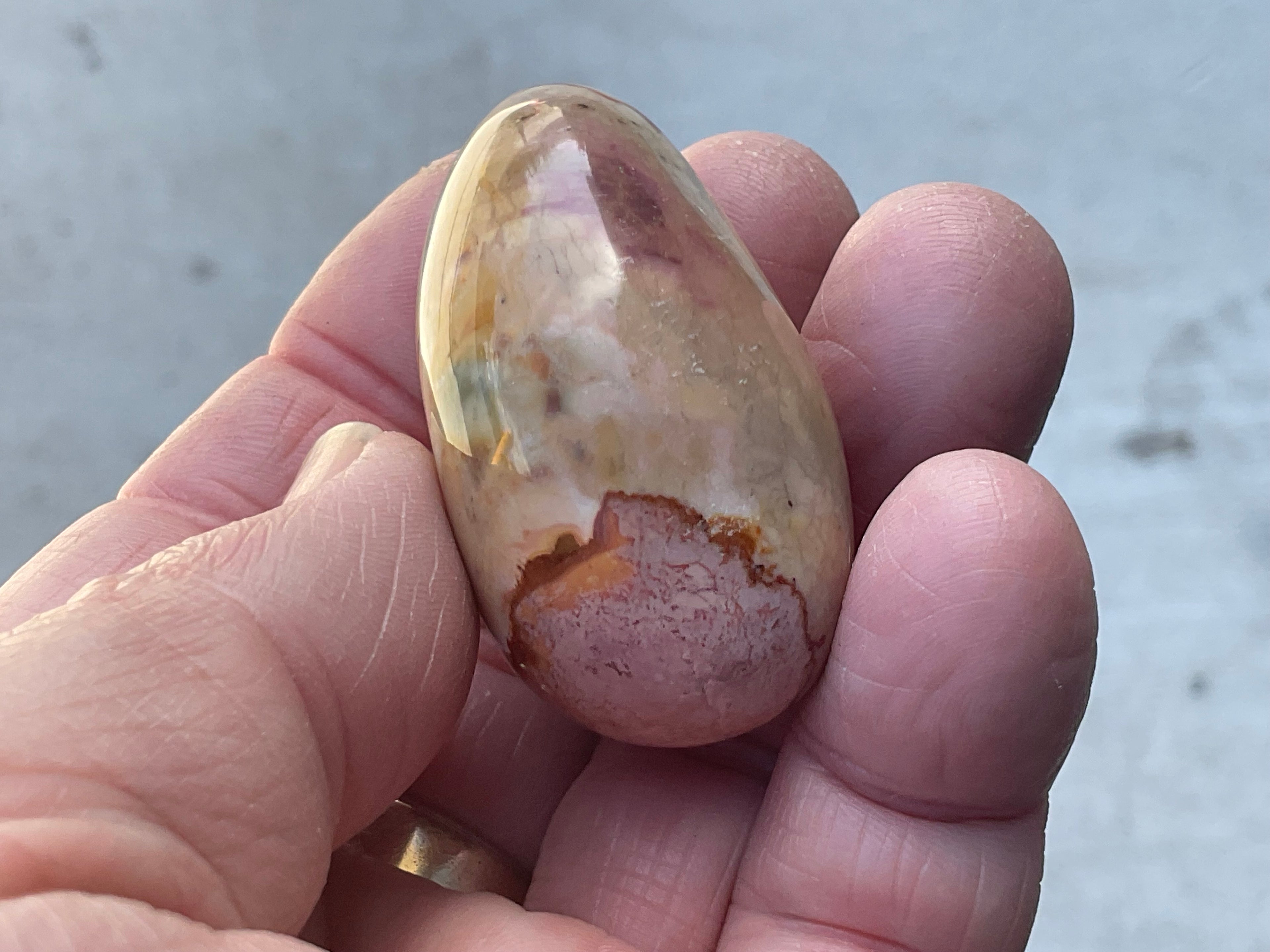 47g Polychrome Jasper Palmstone 2C