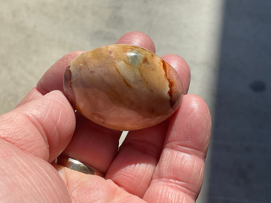 47g Polychrome Jasper Palmstone 2C