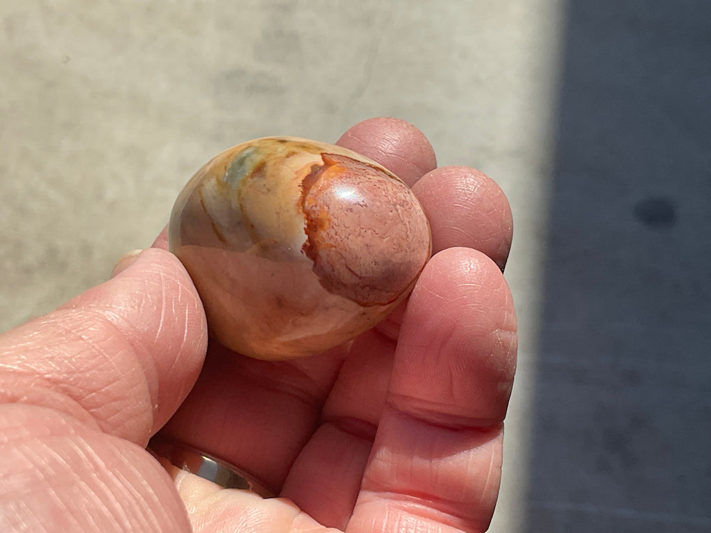 47g Polychrome Jasper Palmstone 2C