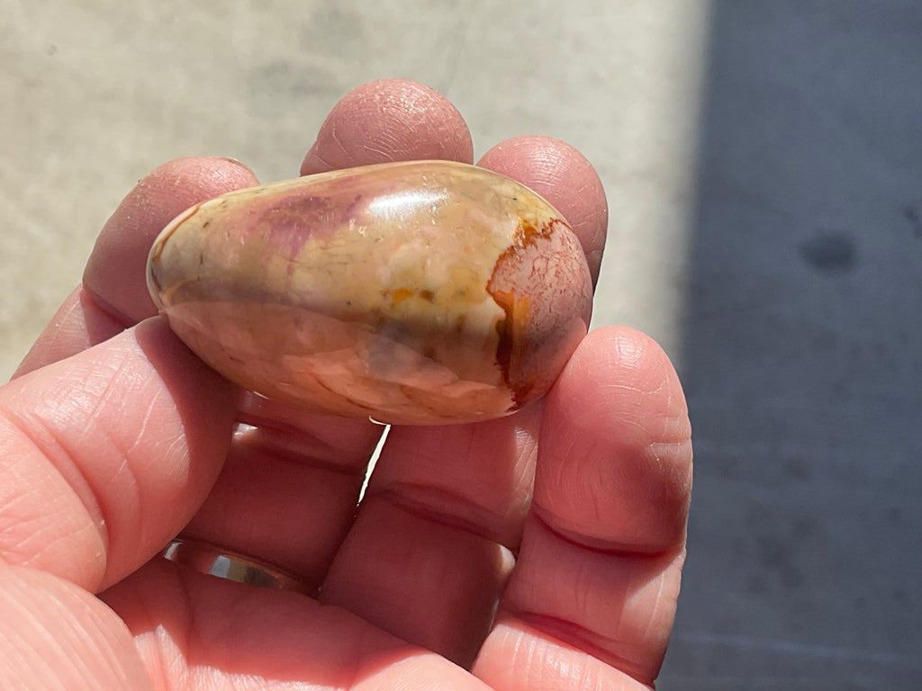47g Polychrome Jasper Palmstone 2C