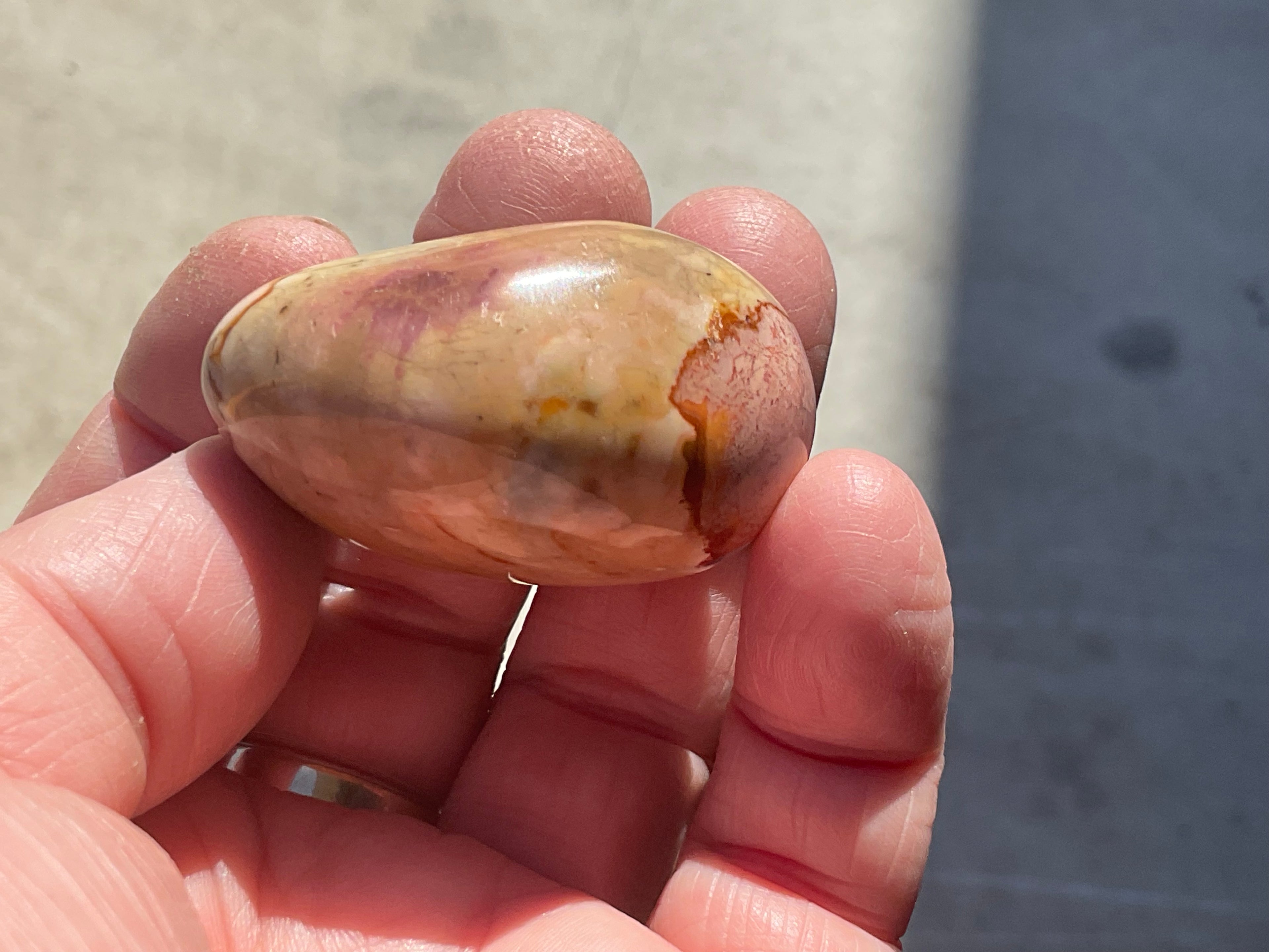 47g Polychrome Jasper Palmstone 2C