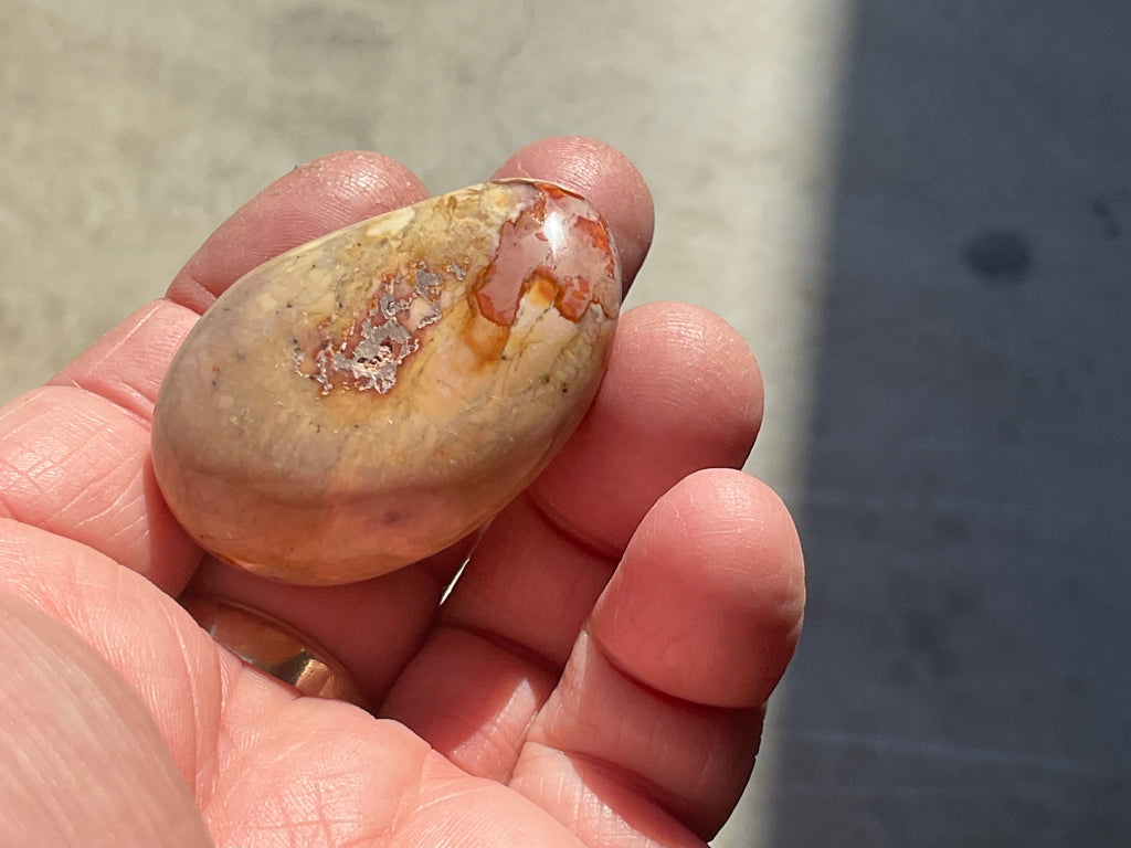 47g Polychrome Jasper Palmstone 2C