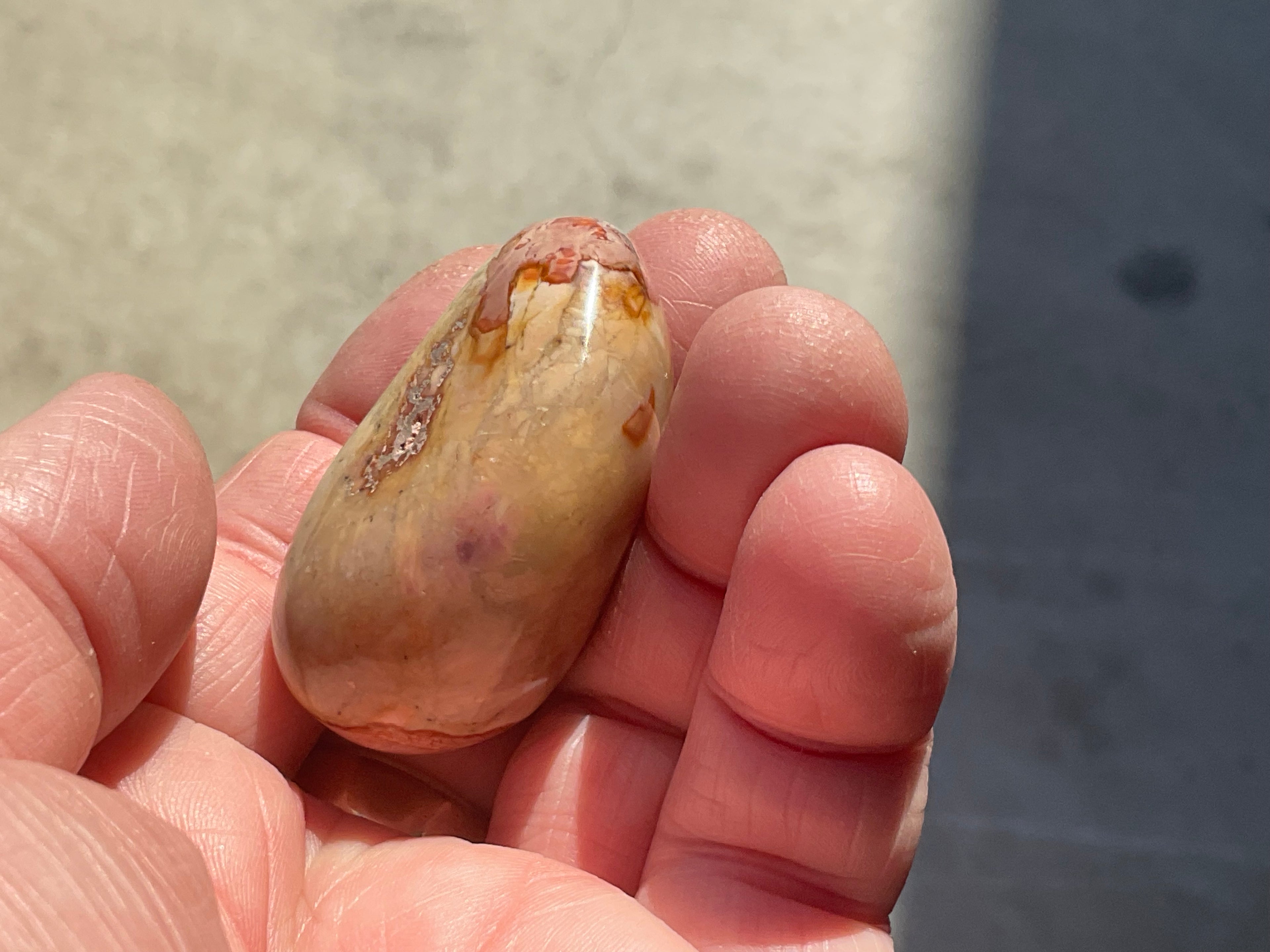 47g Polychrome Jasper Palmstone 2C