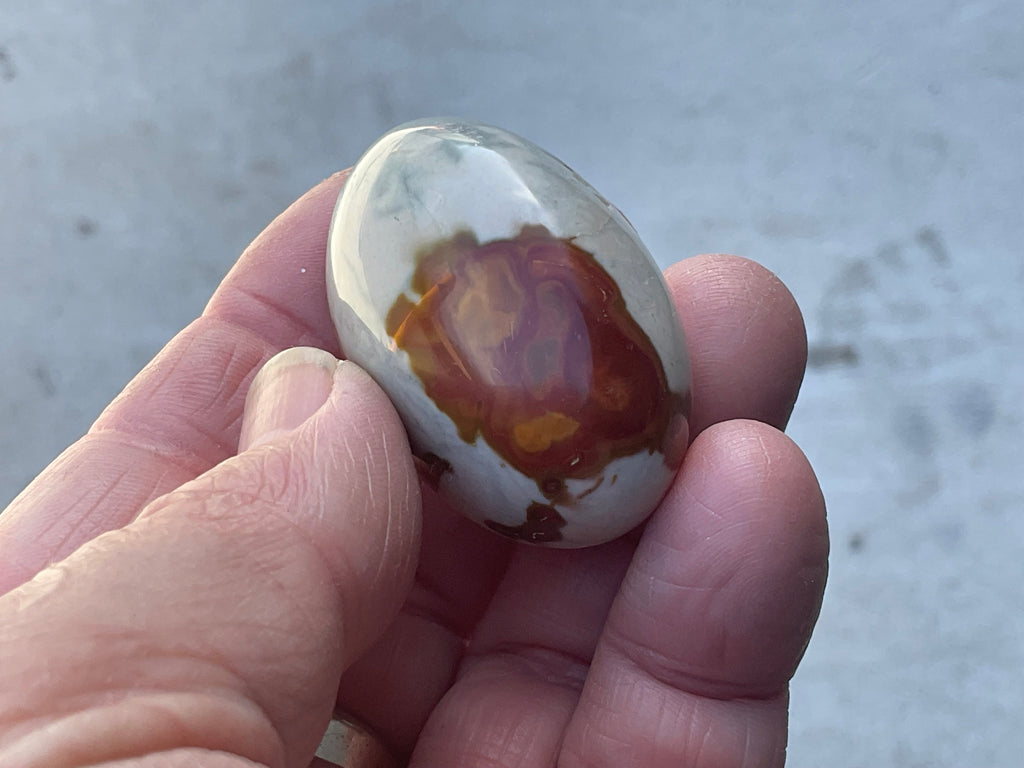 47g Polychrome Jasper Palmstone 2D