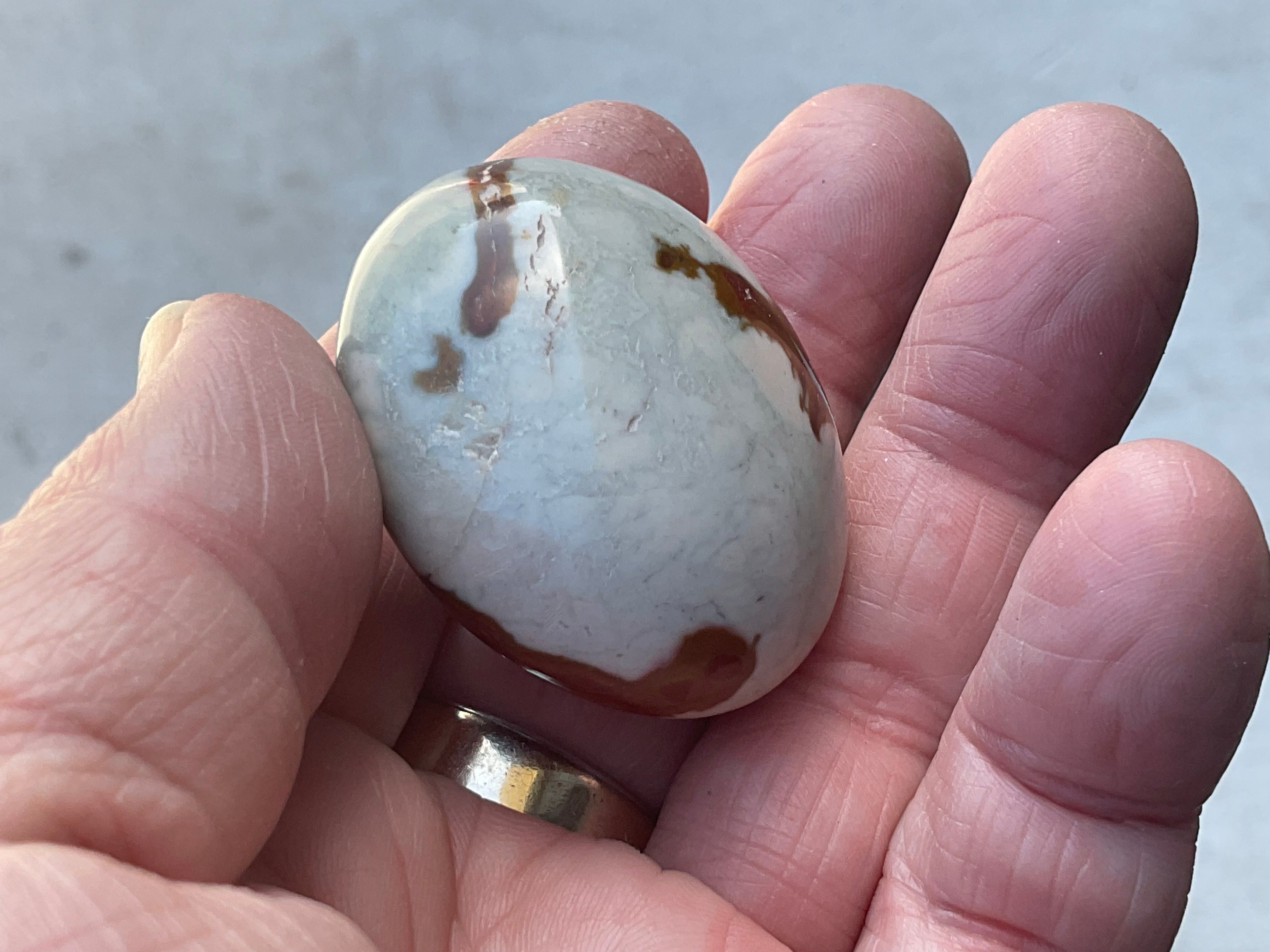47g Polychrome Jasper Palmstone 2D